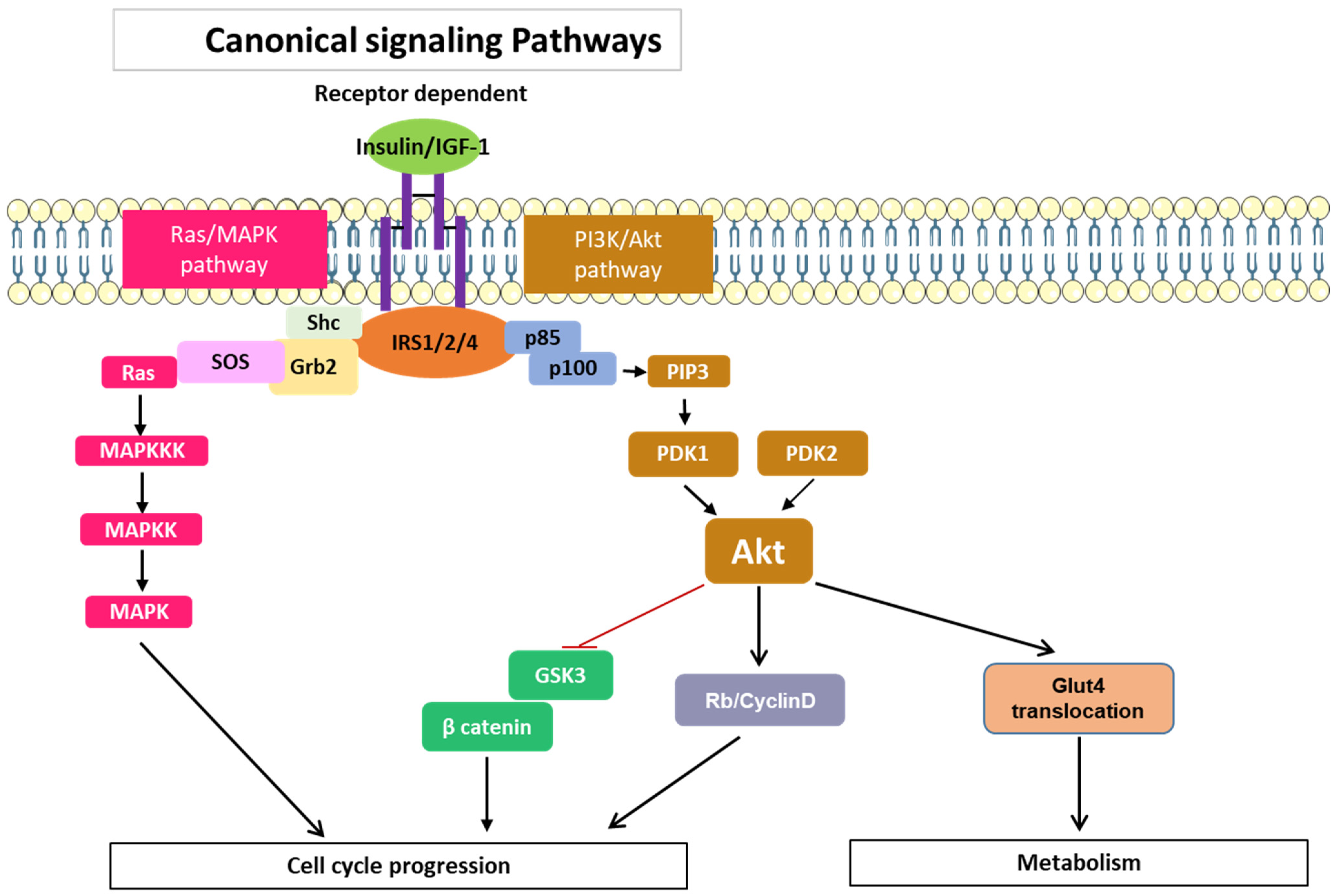 Cancers 15 04651 g003 Cancers 15 04651 g003