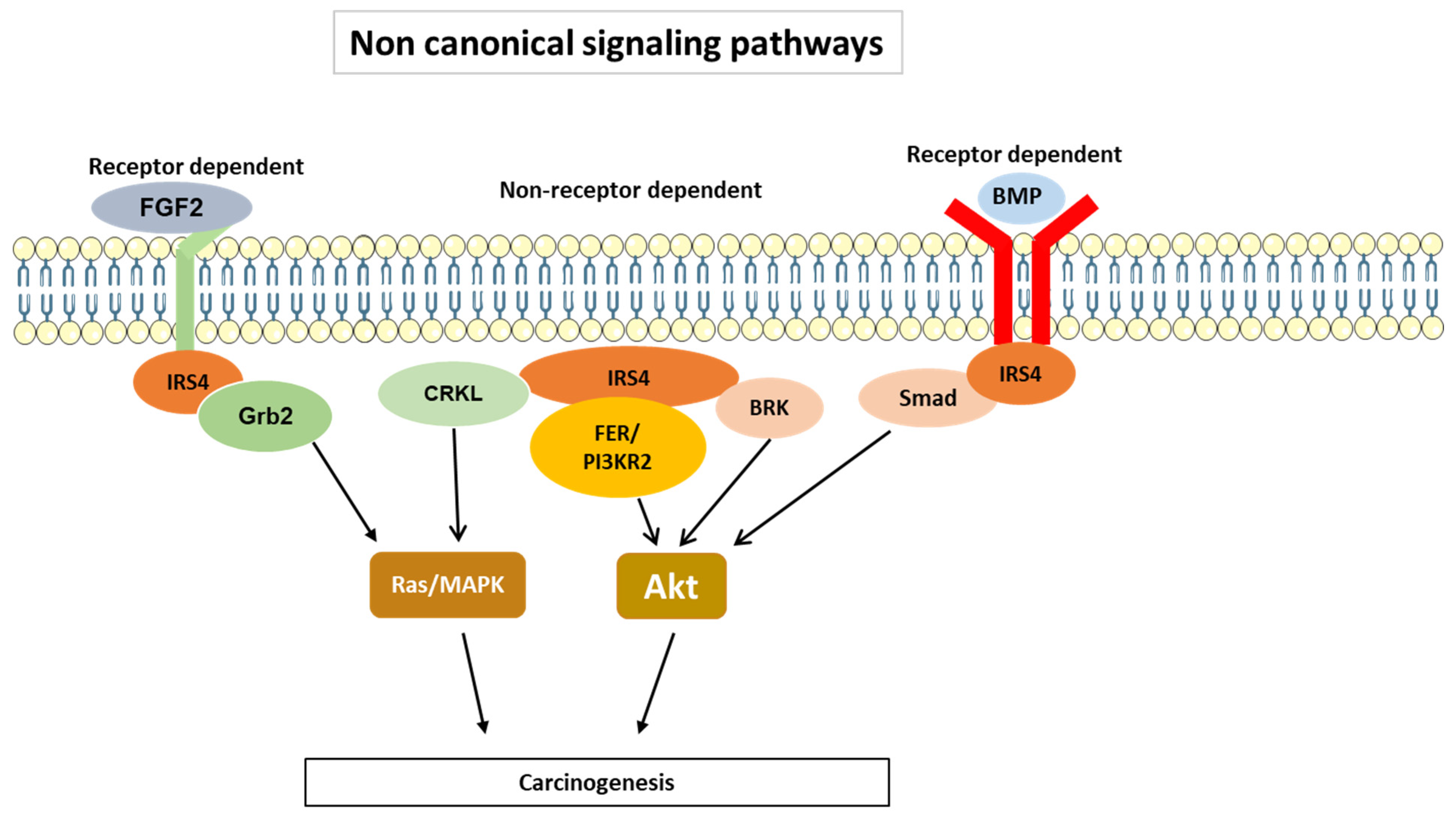 Cancers 15 04651 g005 Cancers 15 04651 g005