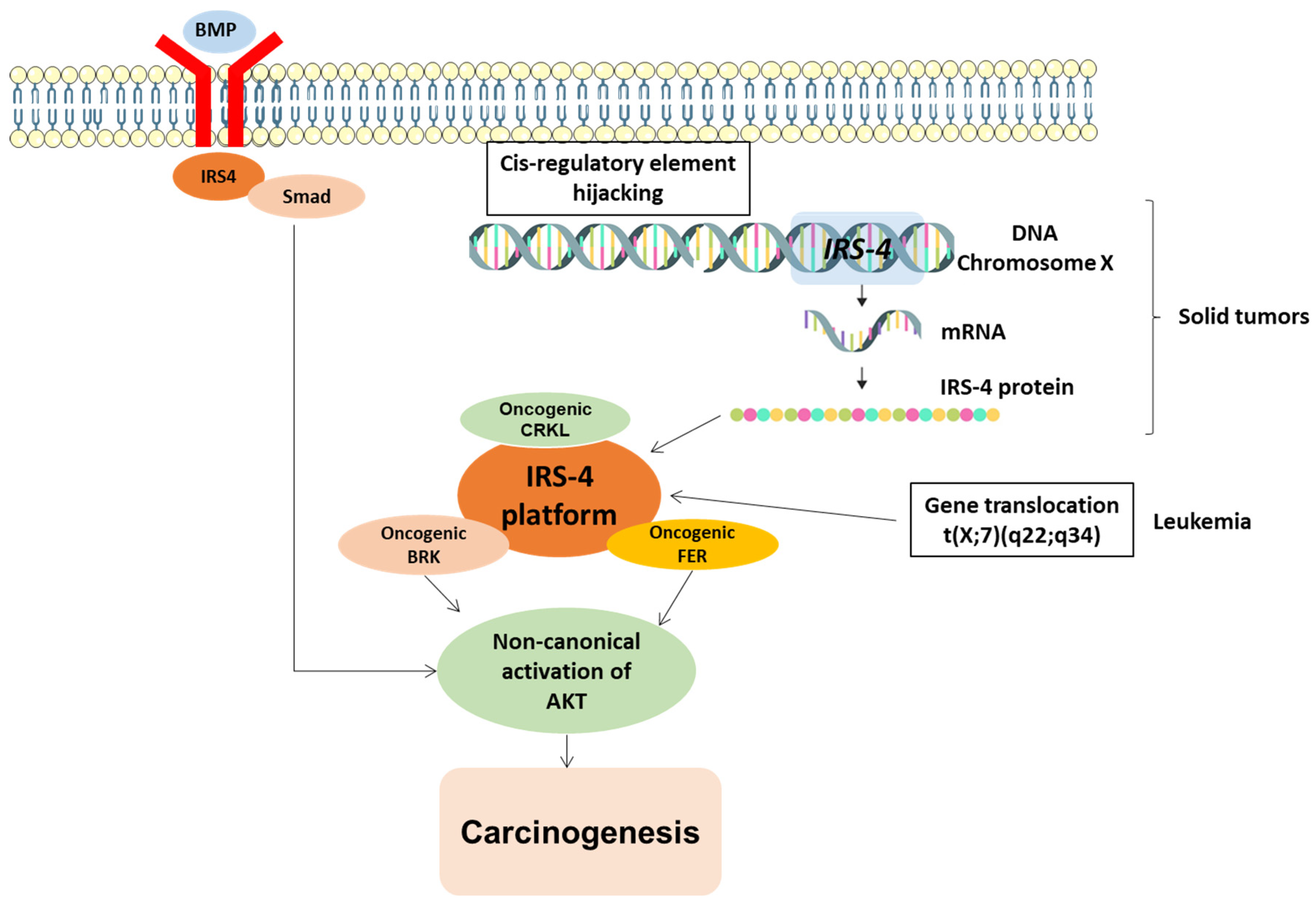 Cancers 15 04651 g006 Cancers 15 04651 g006