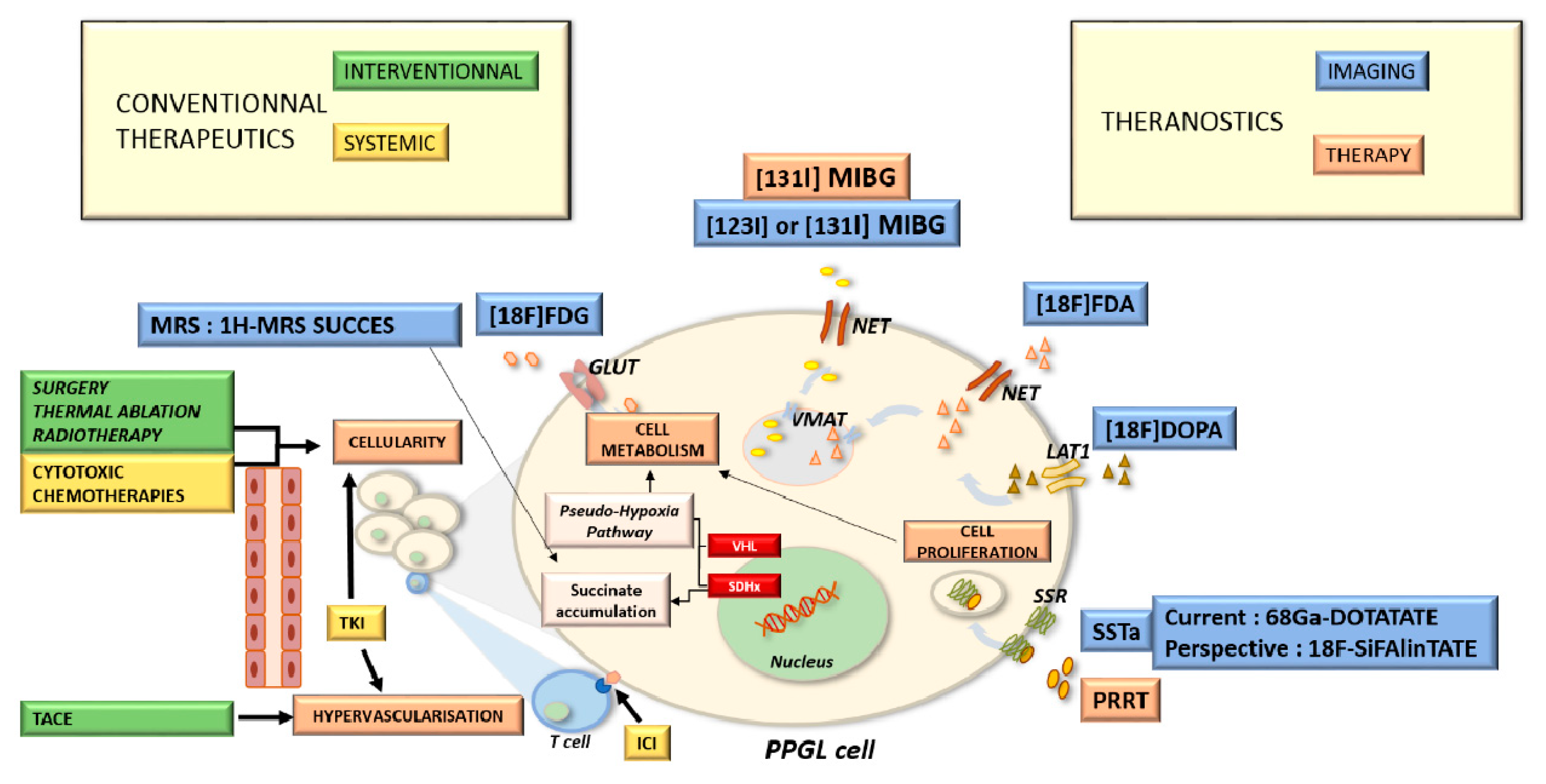Cancers 15 04666 g0a1
