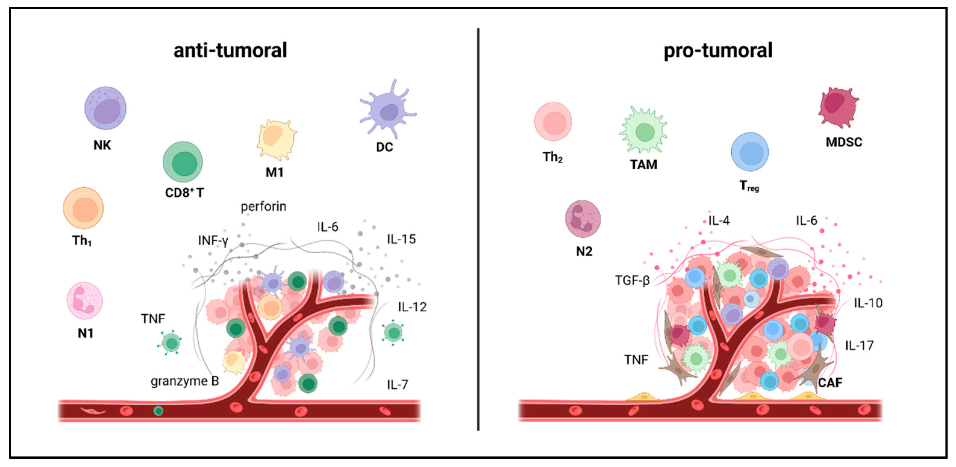 Cancers 15 04668 g001 Cancers 15 04668 g001