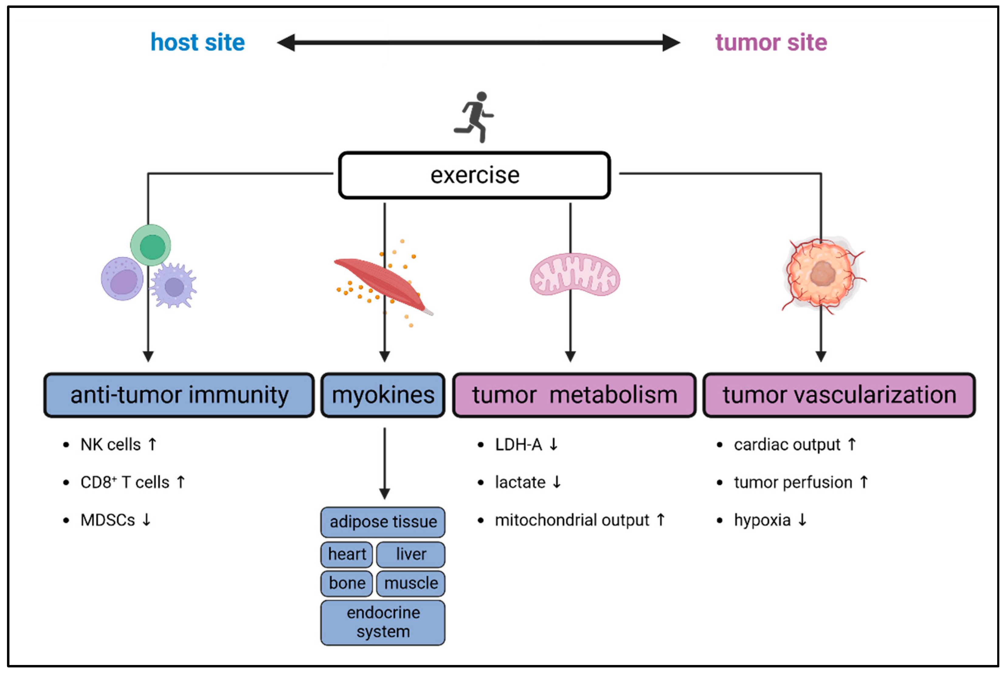 Cancers 15 04668 g002 Cancers 15 04668 g002