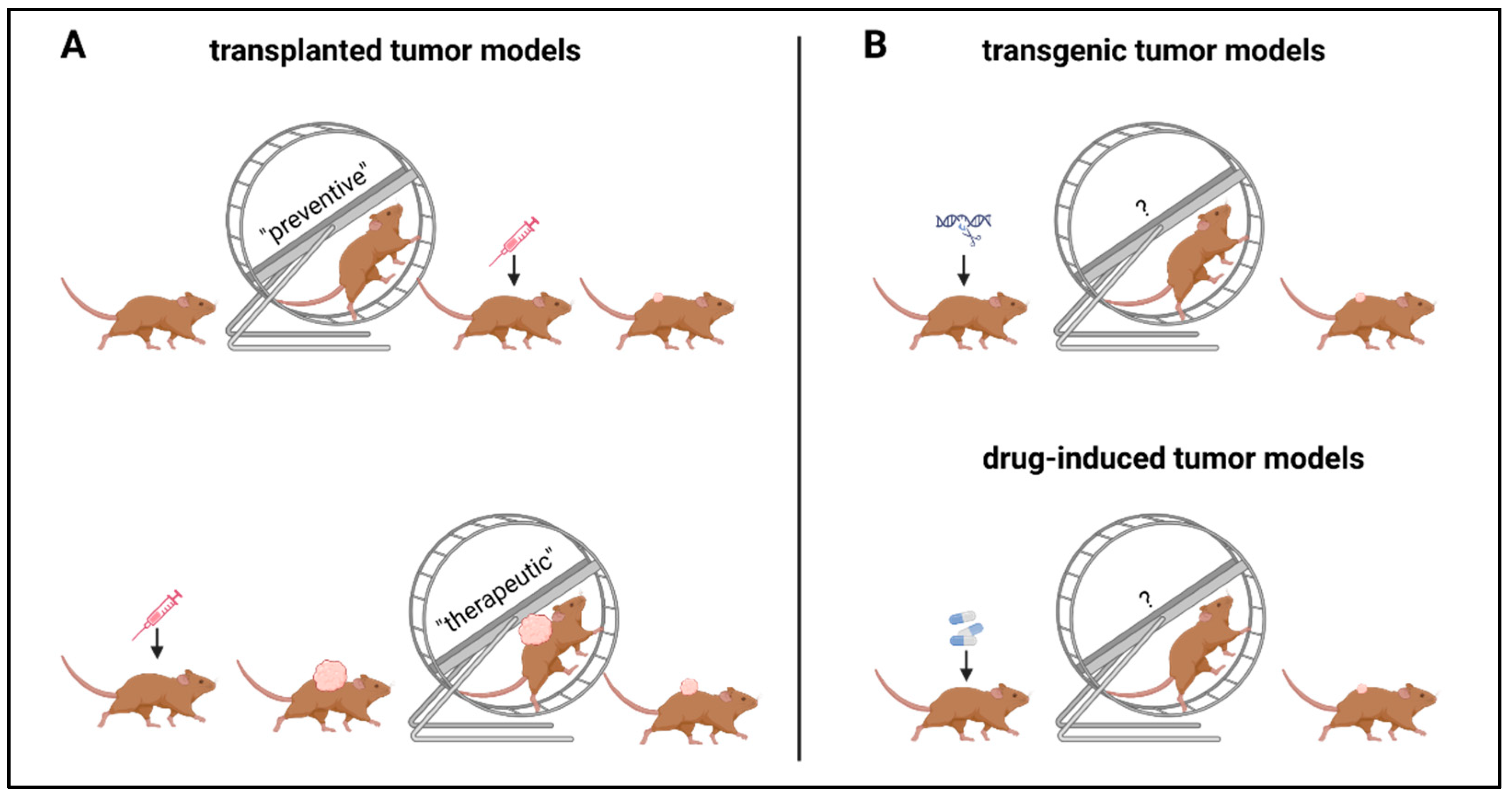 Cancers 15 04668 g003 Cancers 15 04668 g003