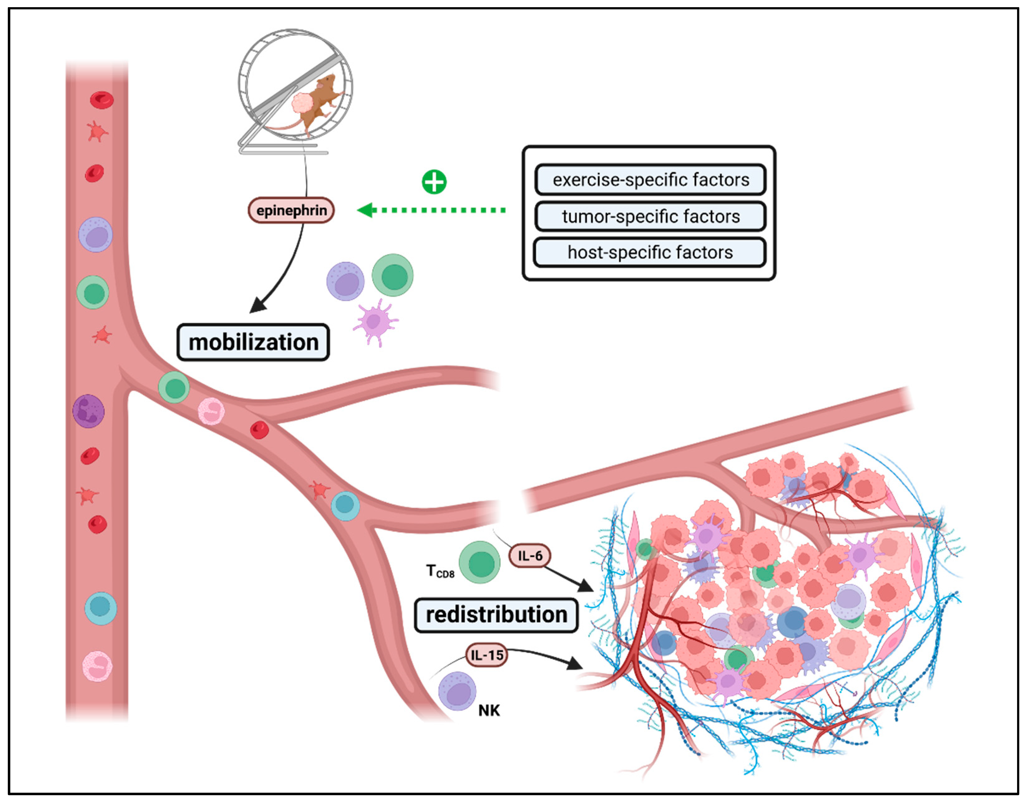Cancers 15 04668 g005 Cancers 15 04668 g005