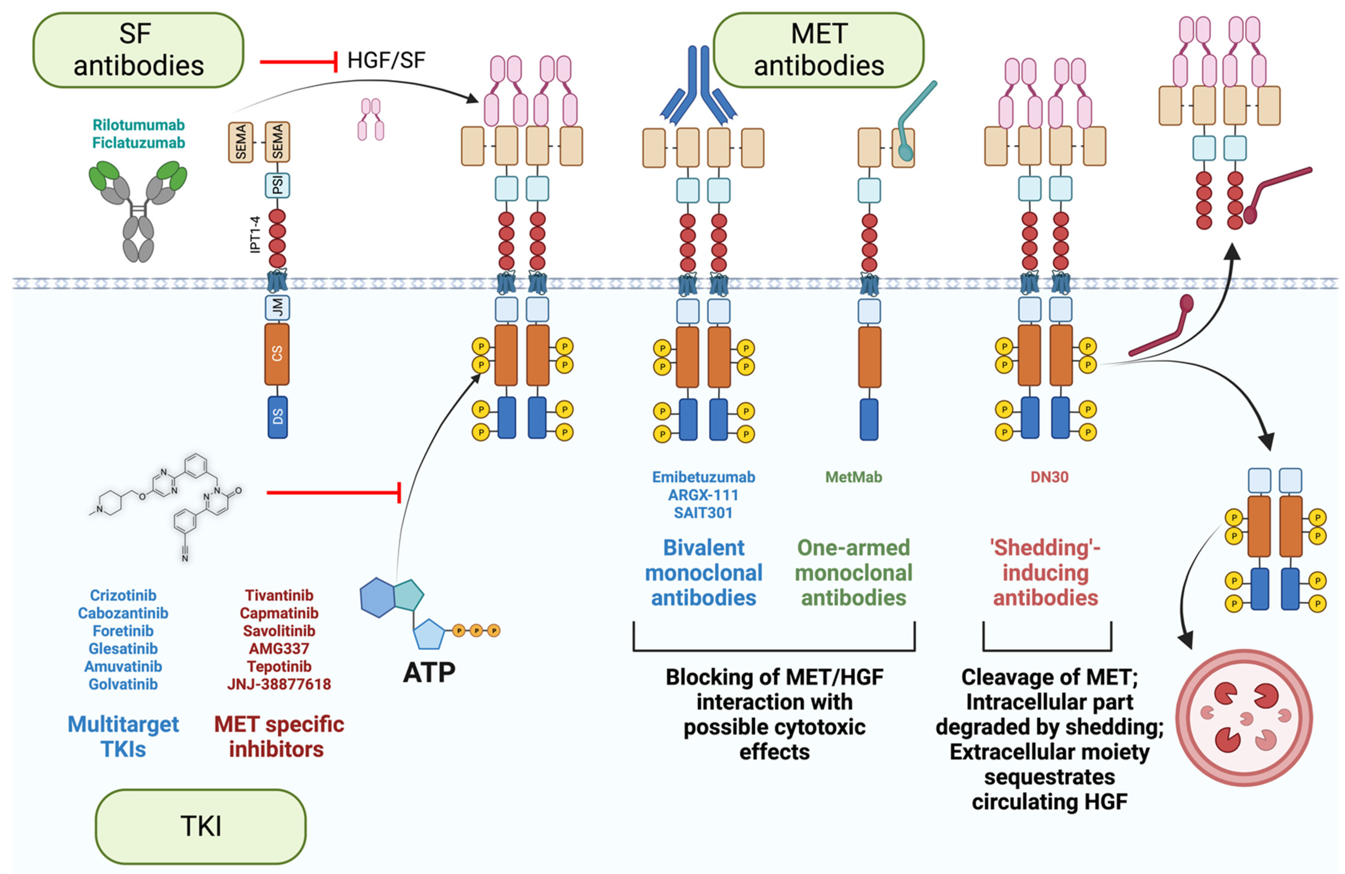 Cancers 15 04672 g005 Cancers 15 04672 g005