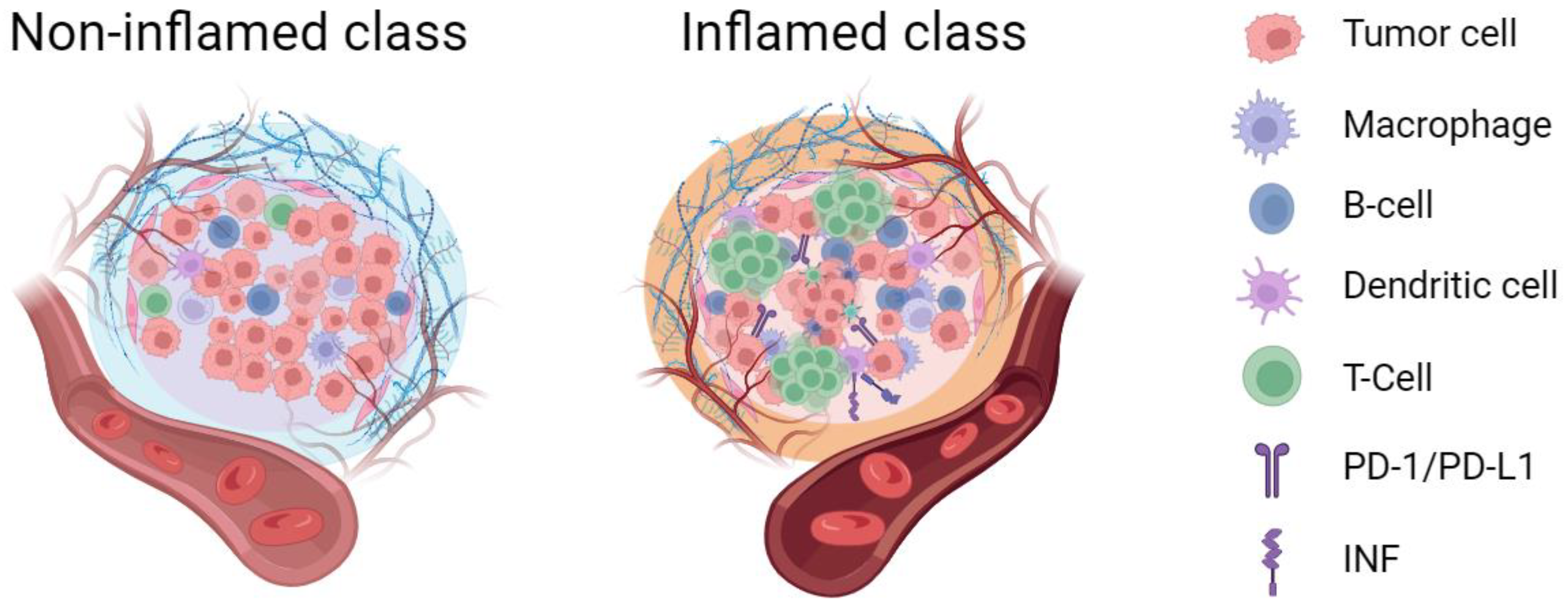 Cancers 15 04677 g001