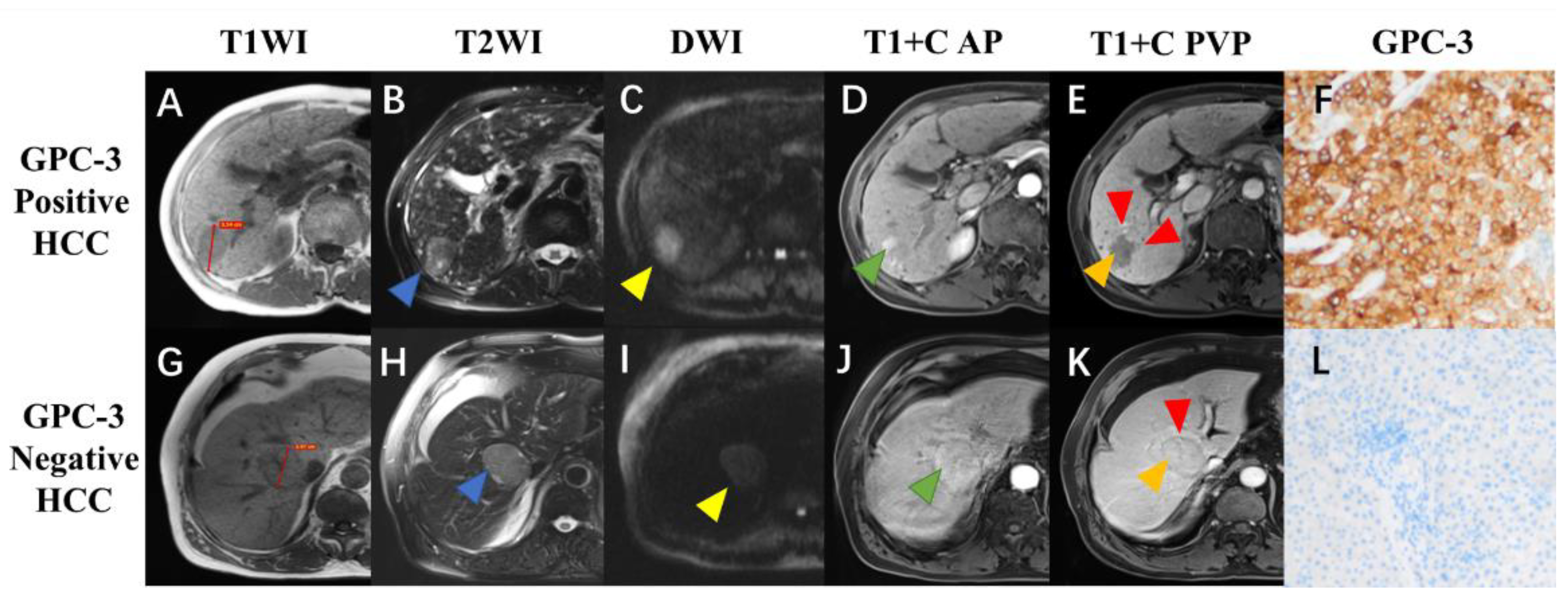 Cancers 15 04677 g002