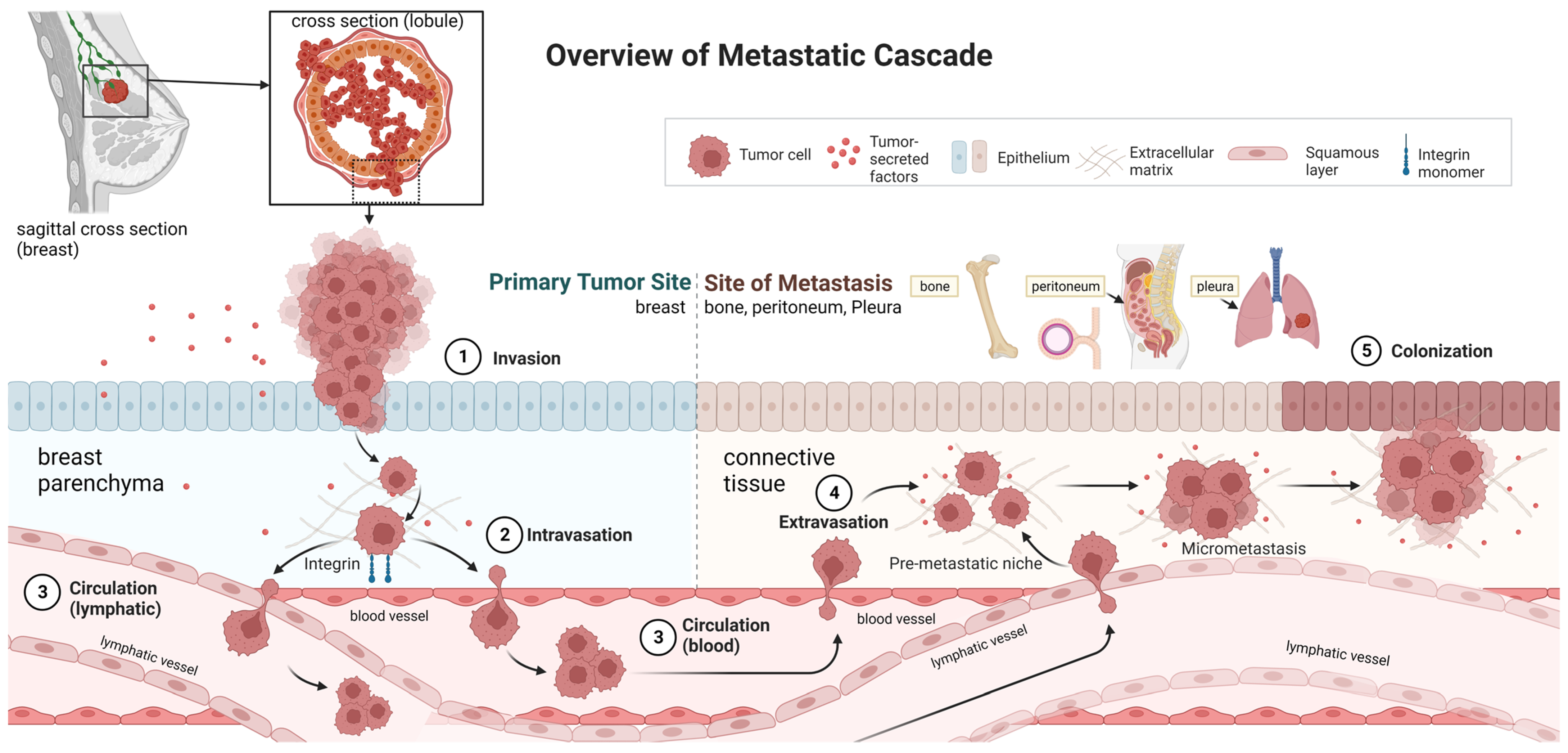 Cancers 15 04679 g001