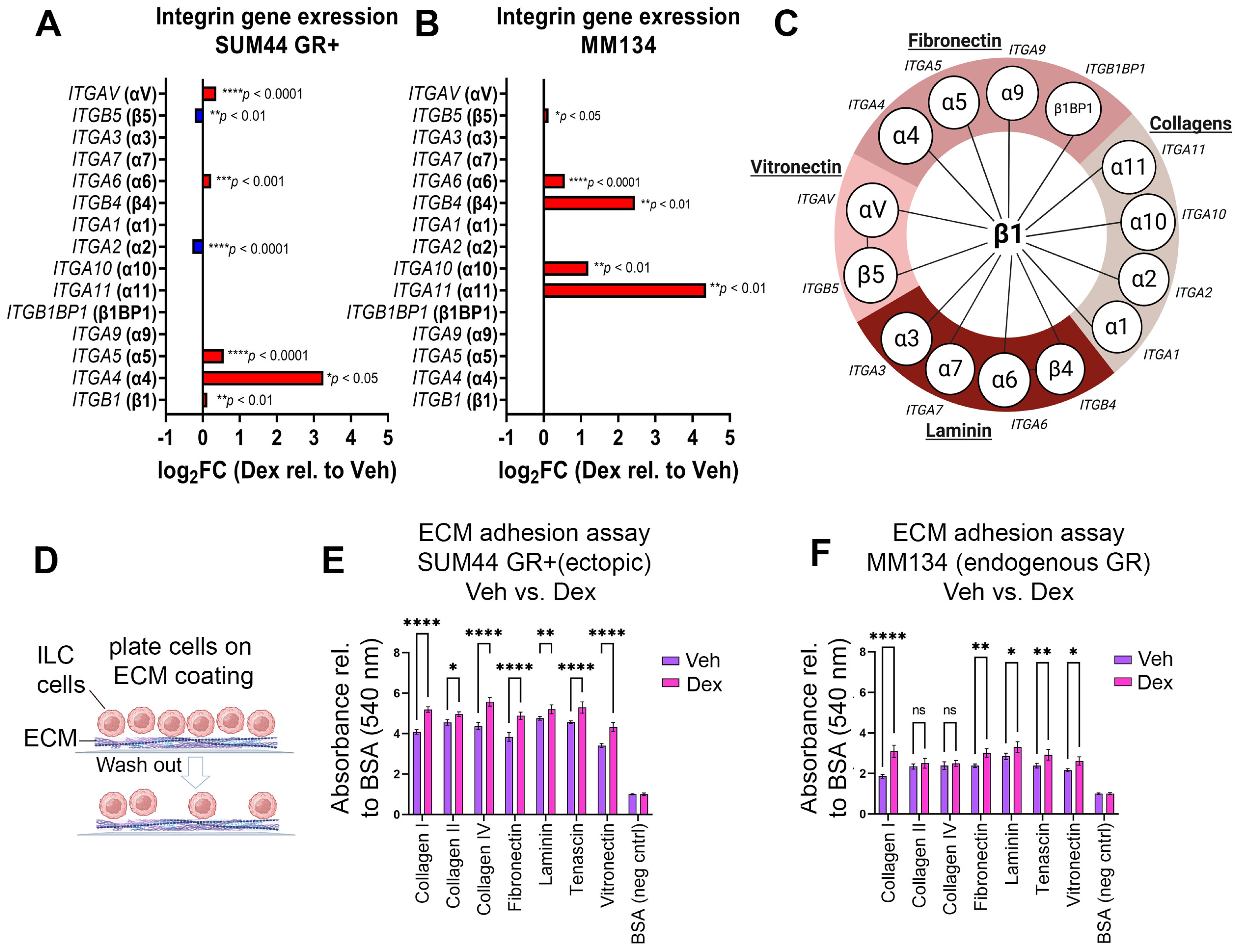 Cancers 15 04679 g003