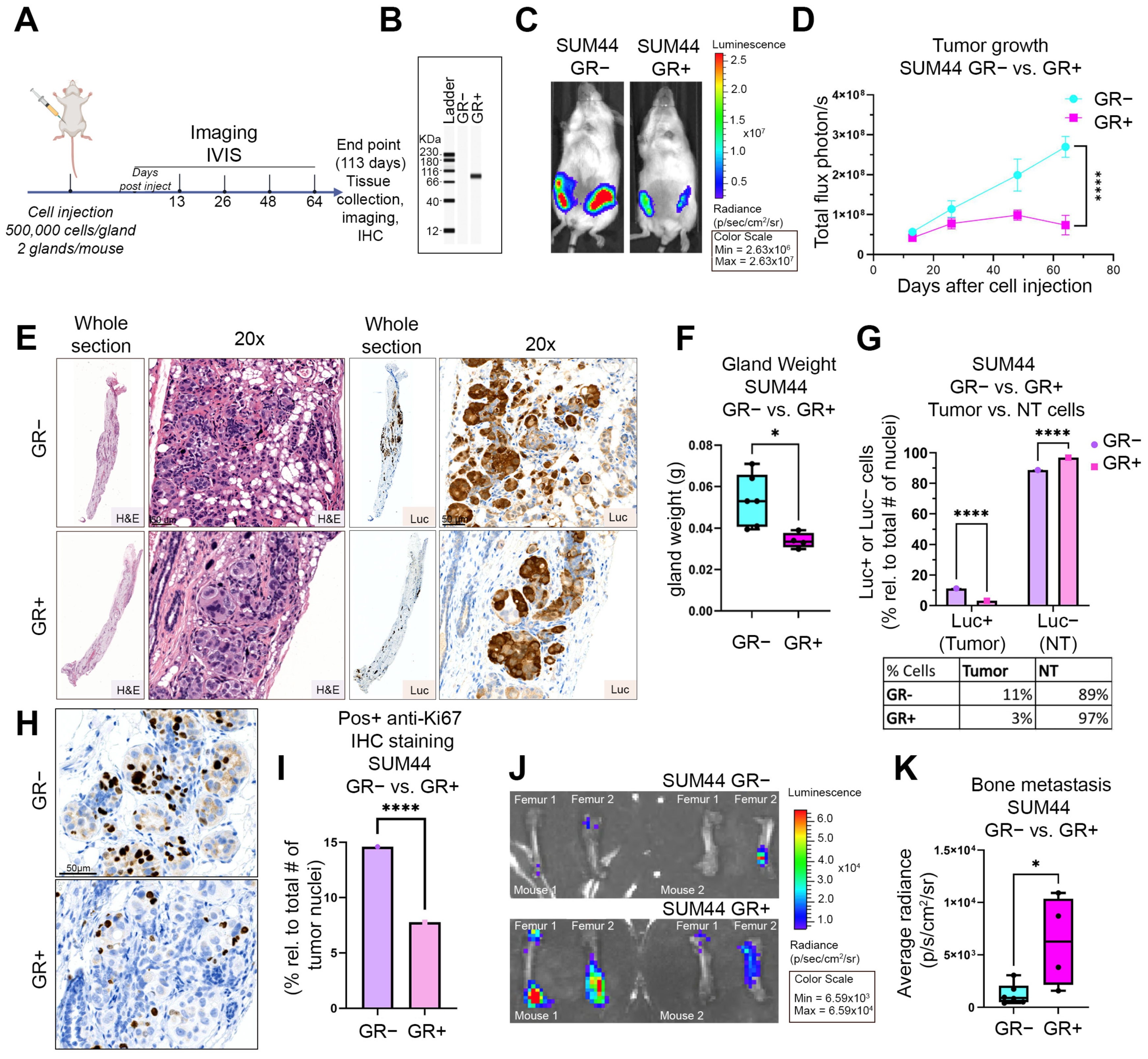 Cancers 15 04679 g005