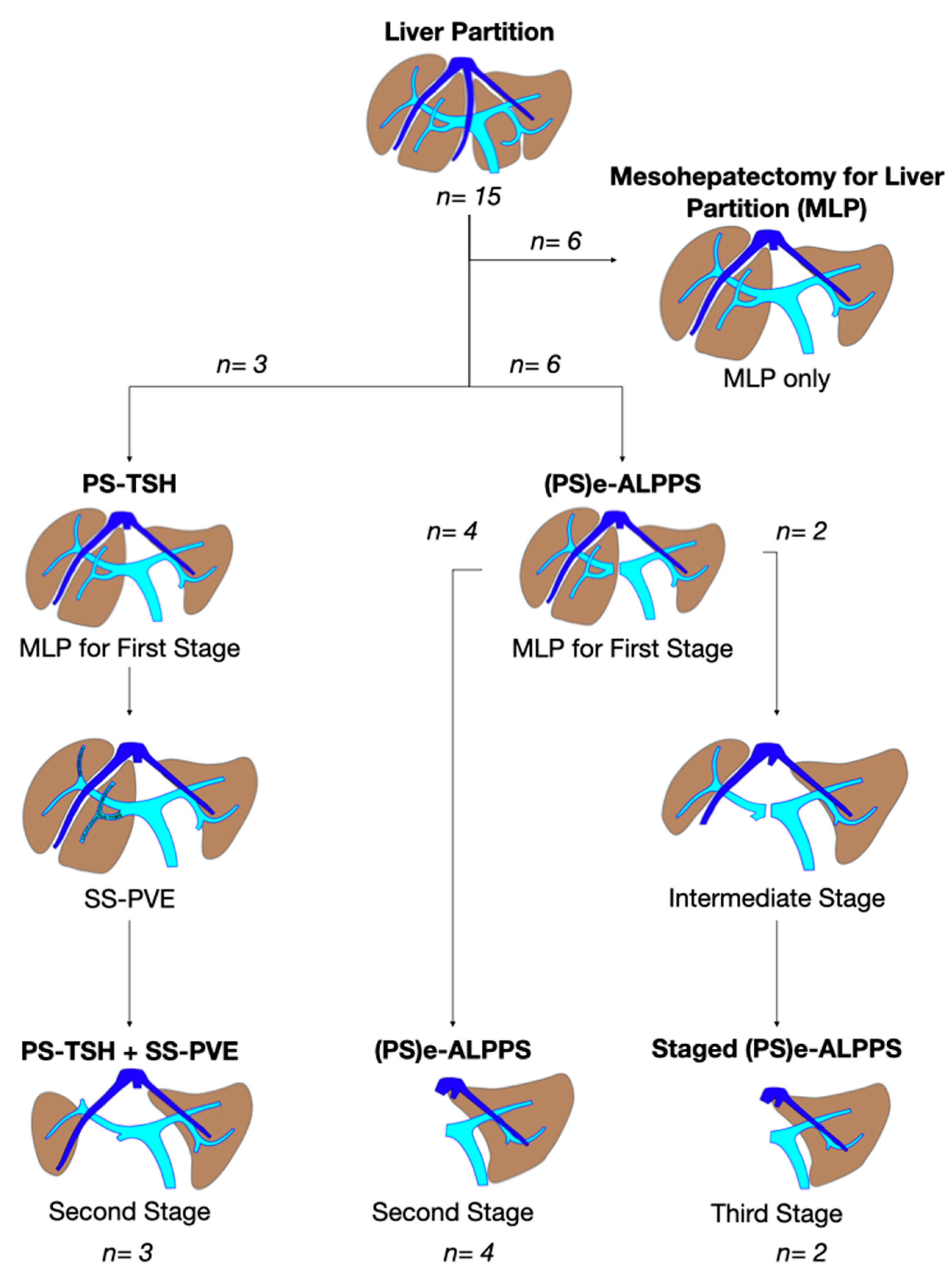 Cancers 15 04683 g003