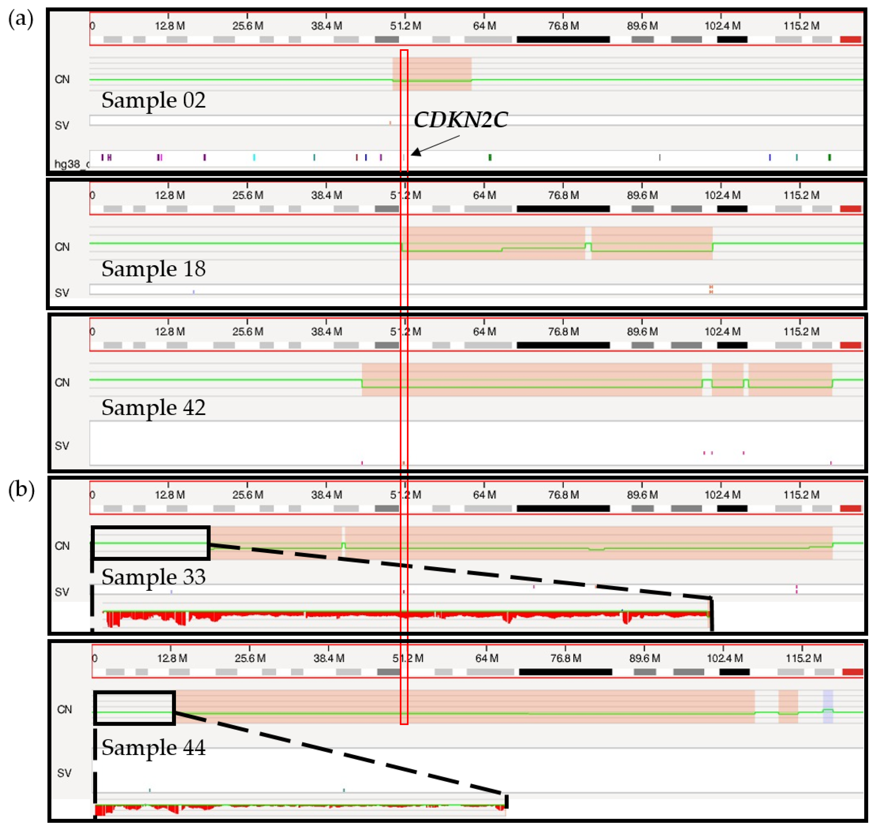 Cancers 15 04687 g004