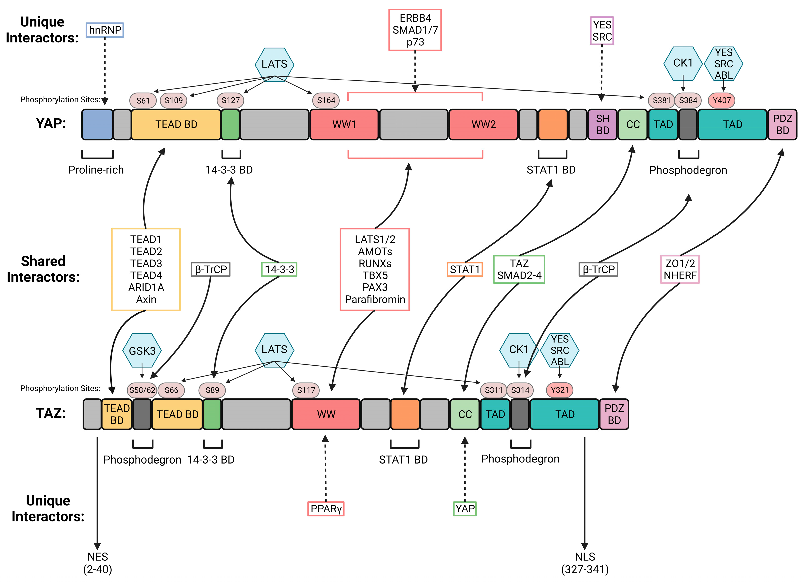 Cancers 15 04701 g001