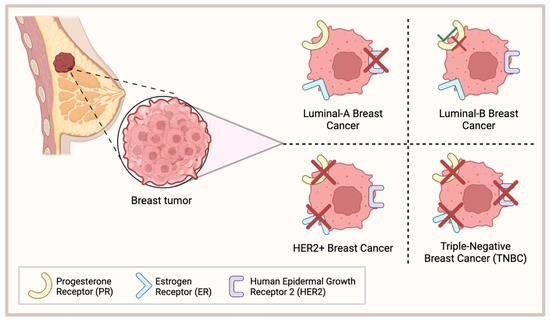 健康・医学 Breast Cancer Pembrolizumab for Early Triple-Negative Breast Cancer | New
