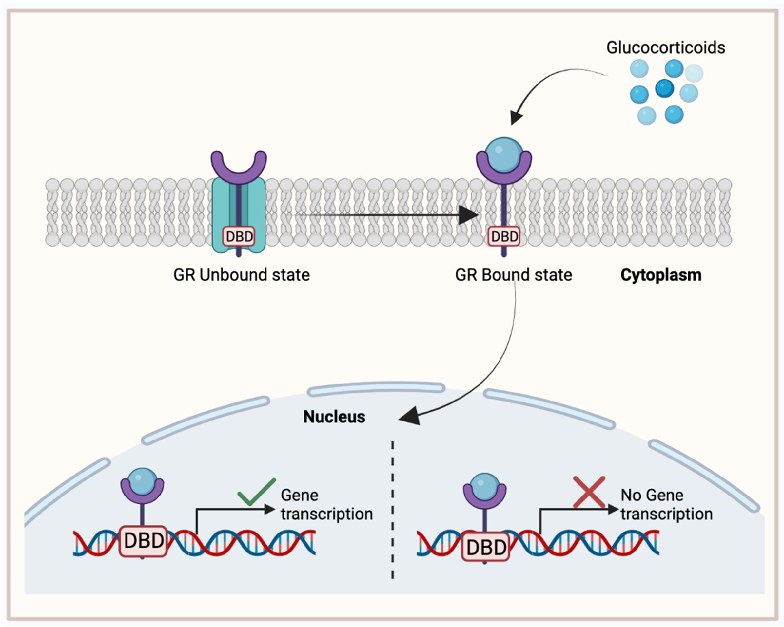 Cancers 15 04702 g004 Cancers 15 04702 g004