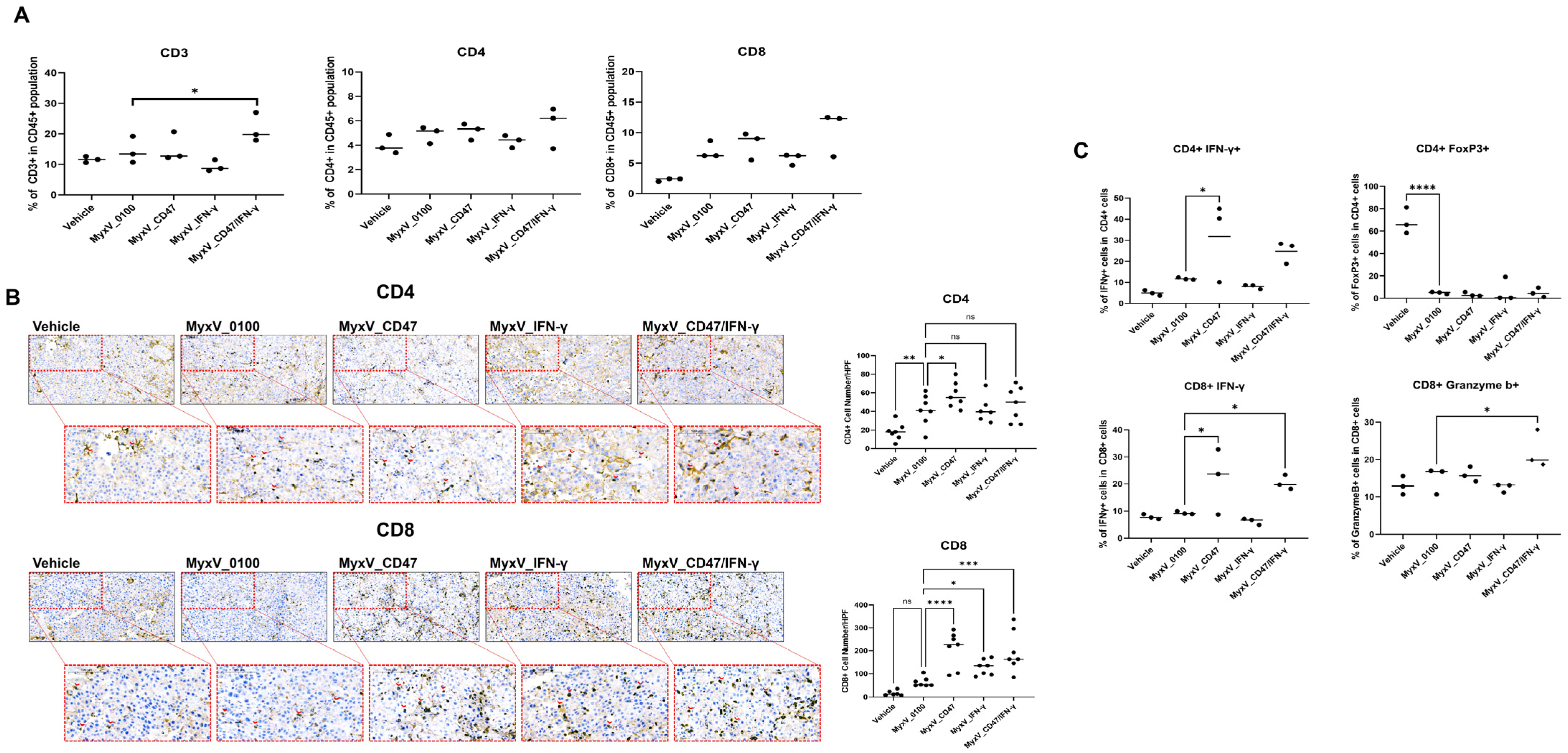 Cancers 15 04703 g004
