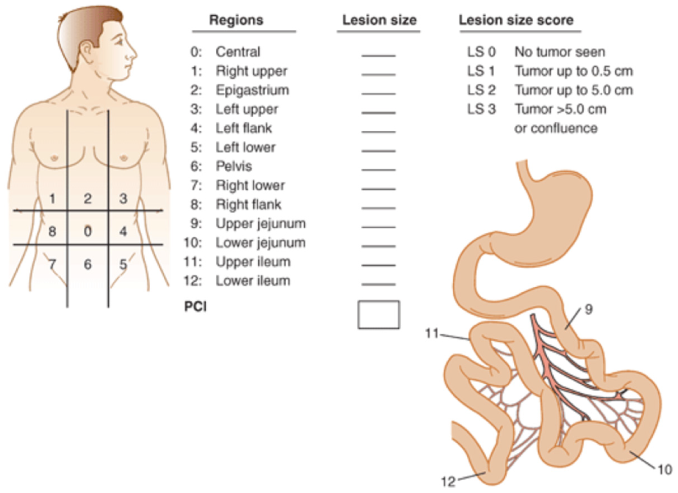Cancers 15 04704 g002