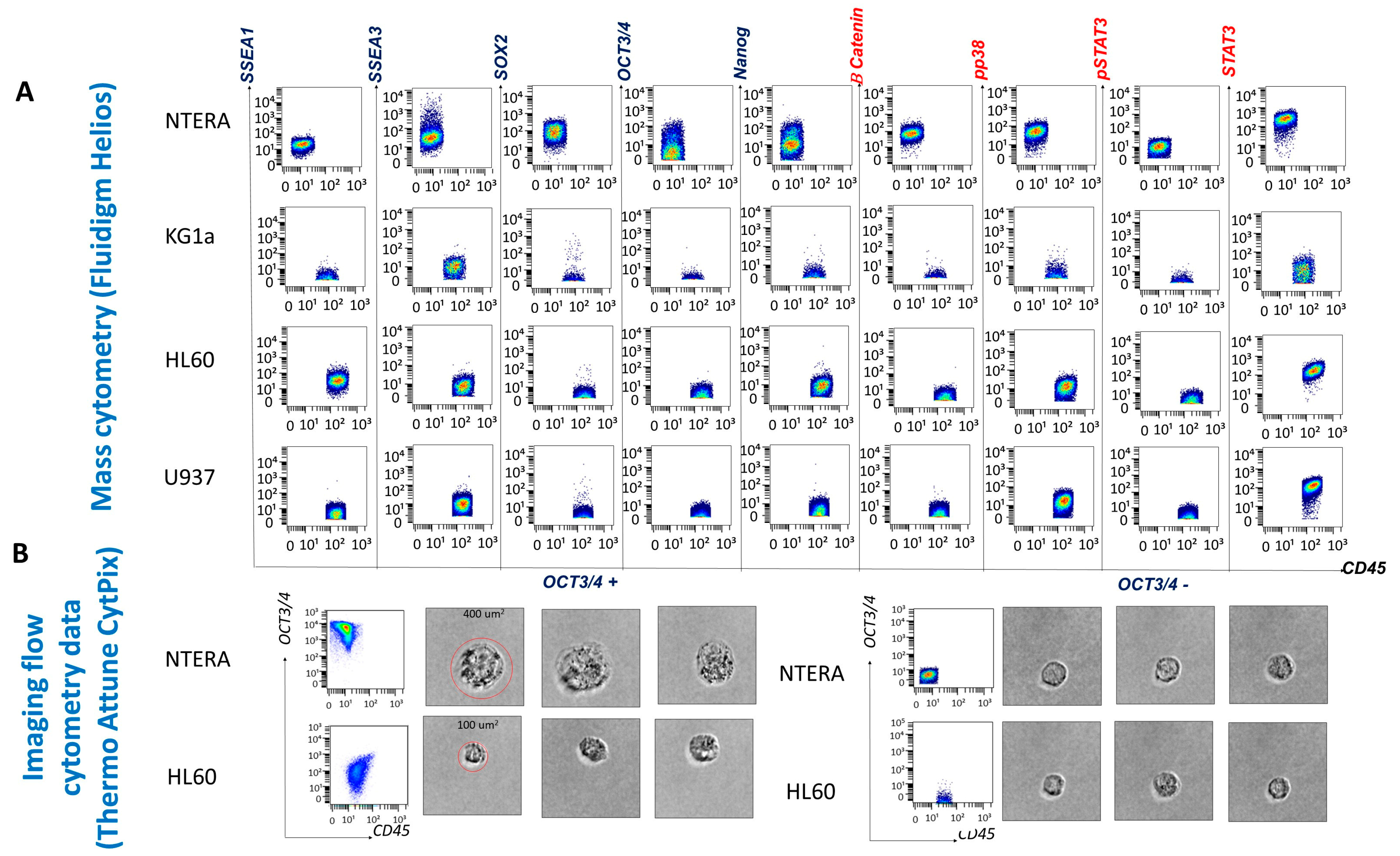 Cancers 15 04707 g002