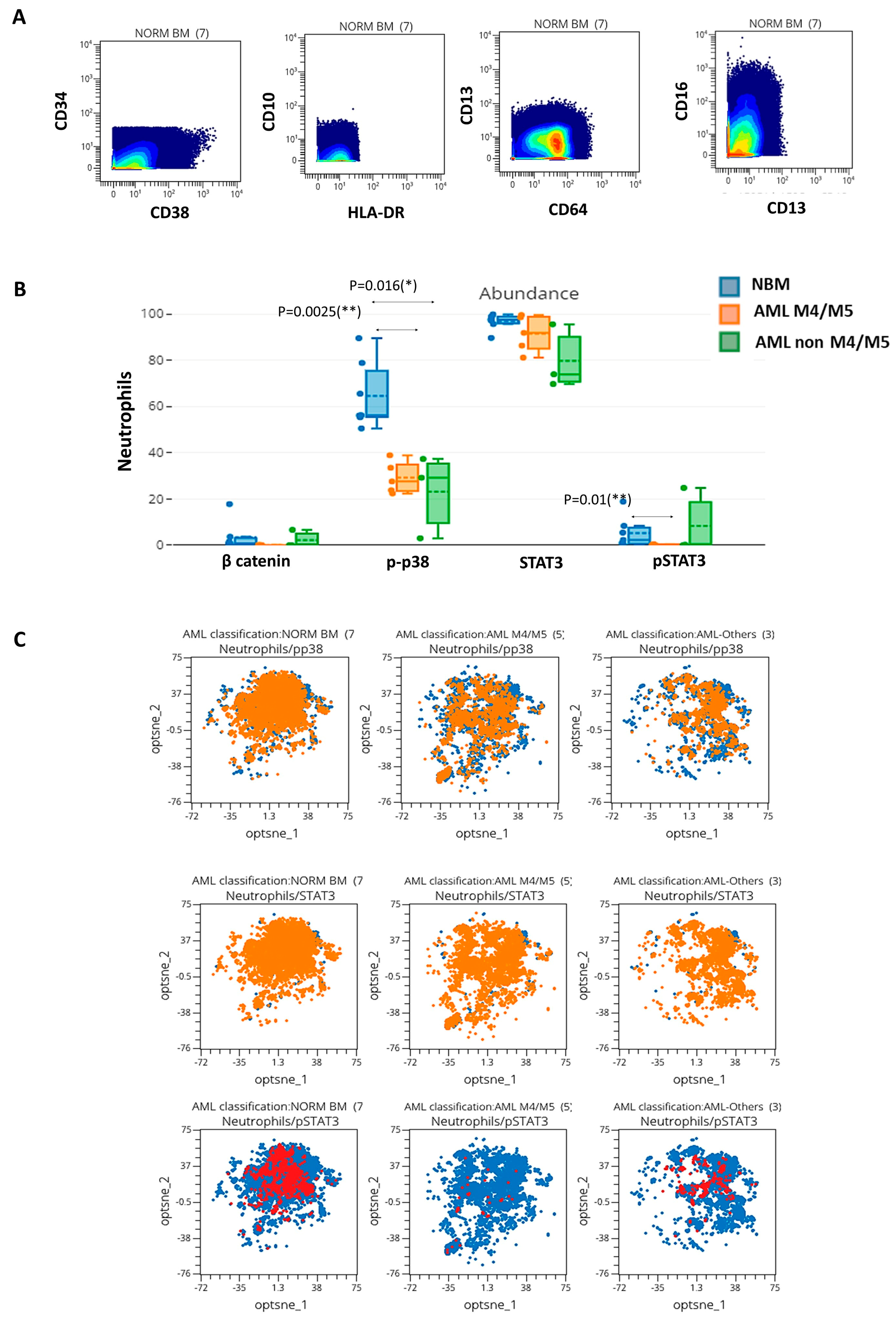 Cancers 15 04707 g007