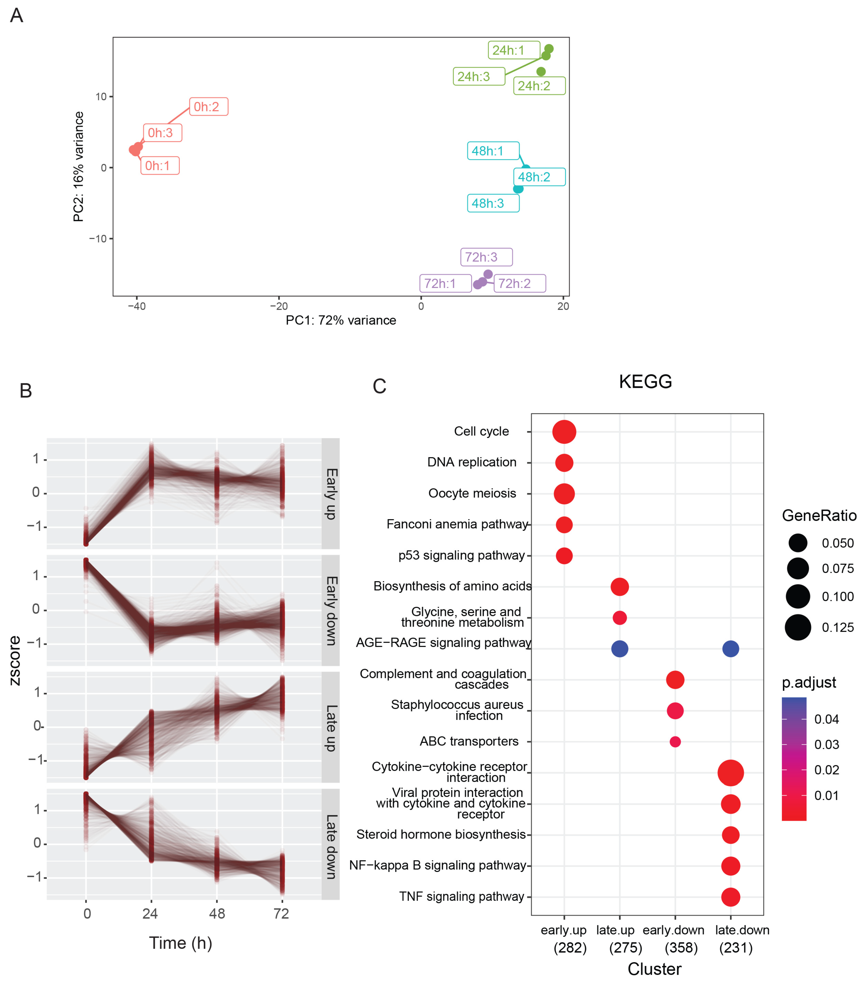 Cancers 15 04713 g002