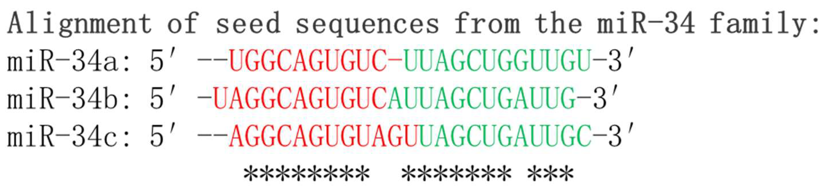 Cancers 15 04723 g001 Cancers 15 04723 g001