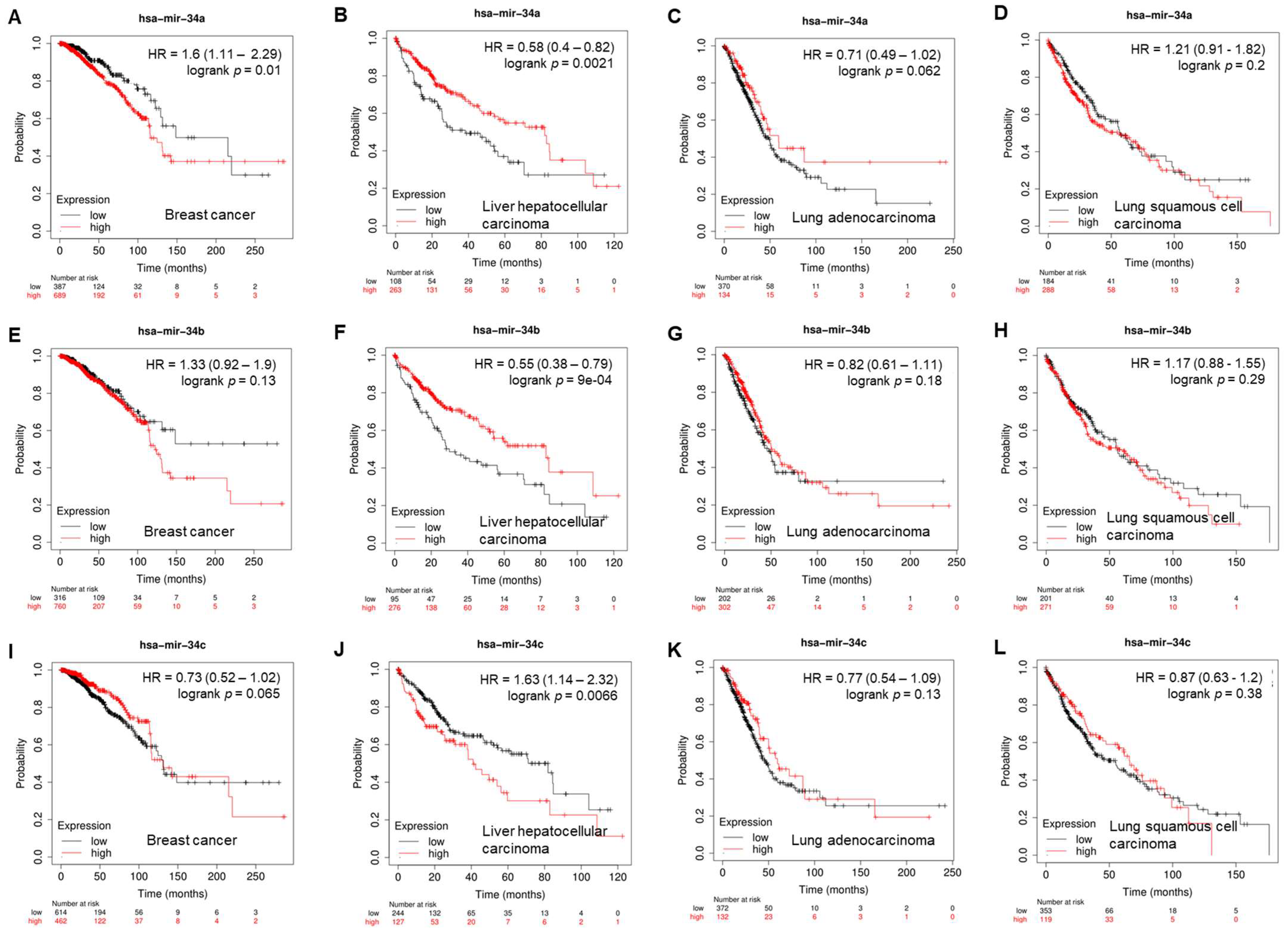 Cancers 15 04723 g002 Cancers 15 04723 g002