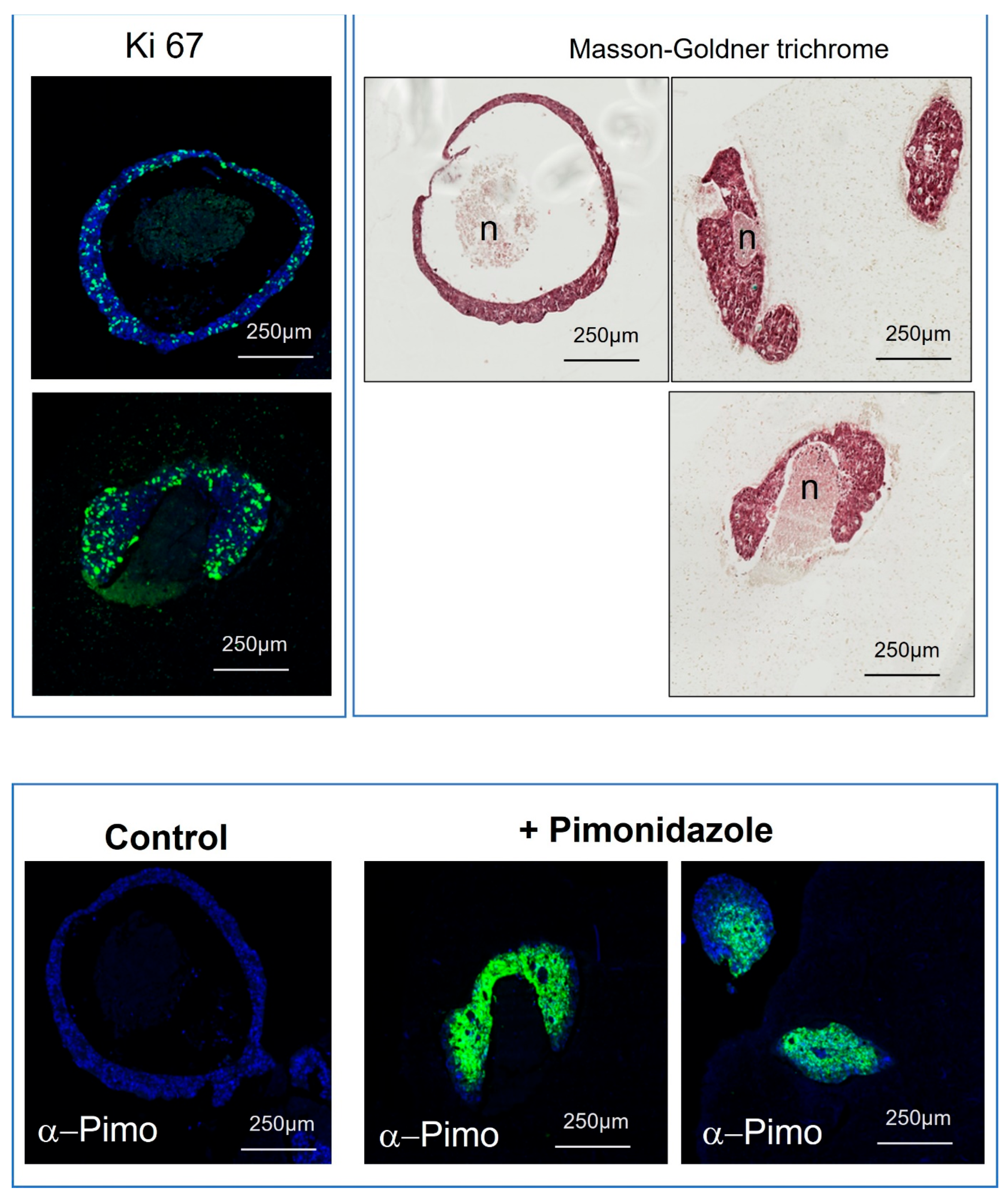 Cancers 15 04724 g006