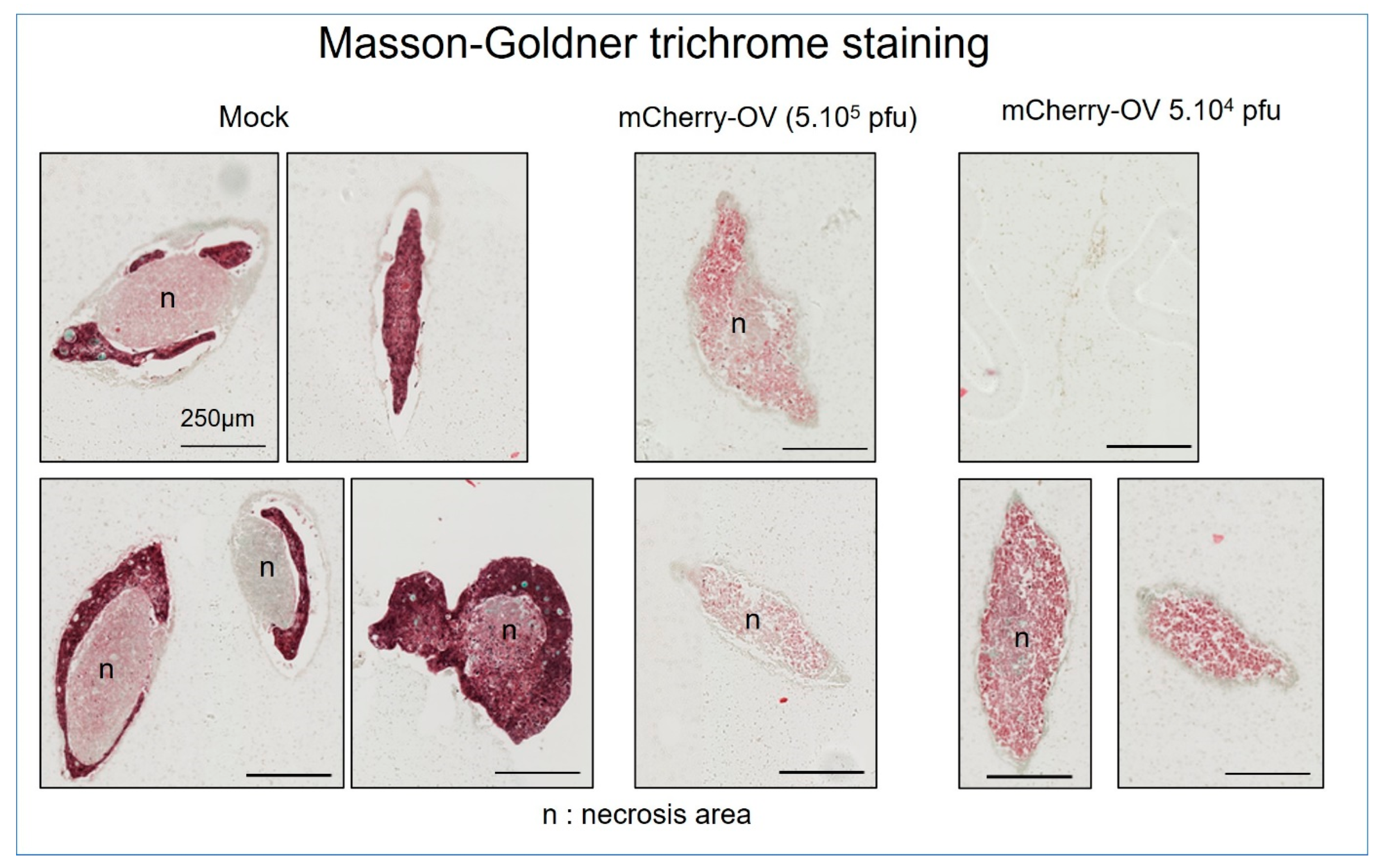 Cancers 15 04724 g008