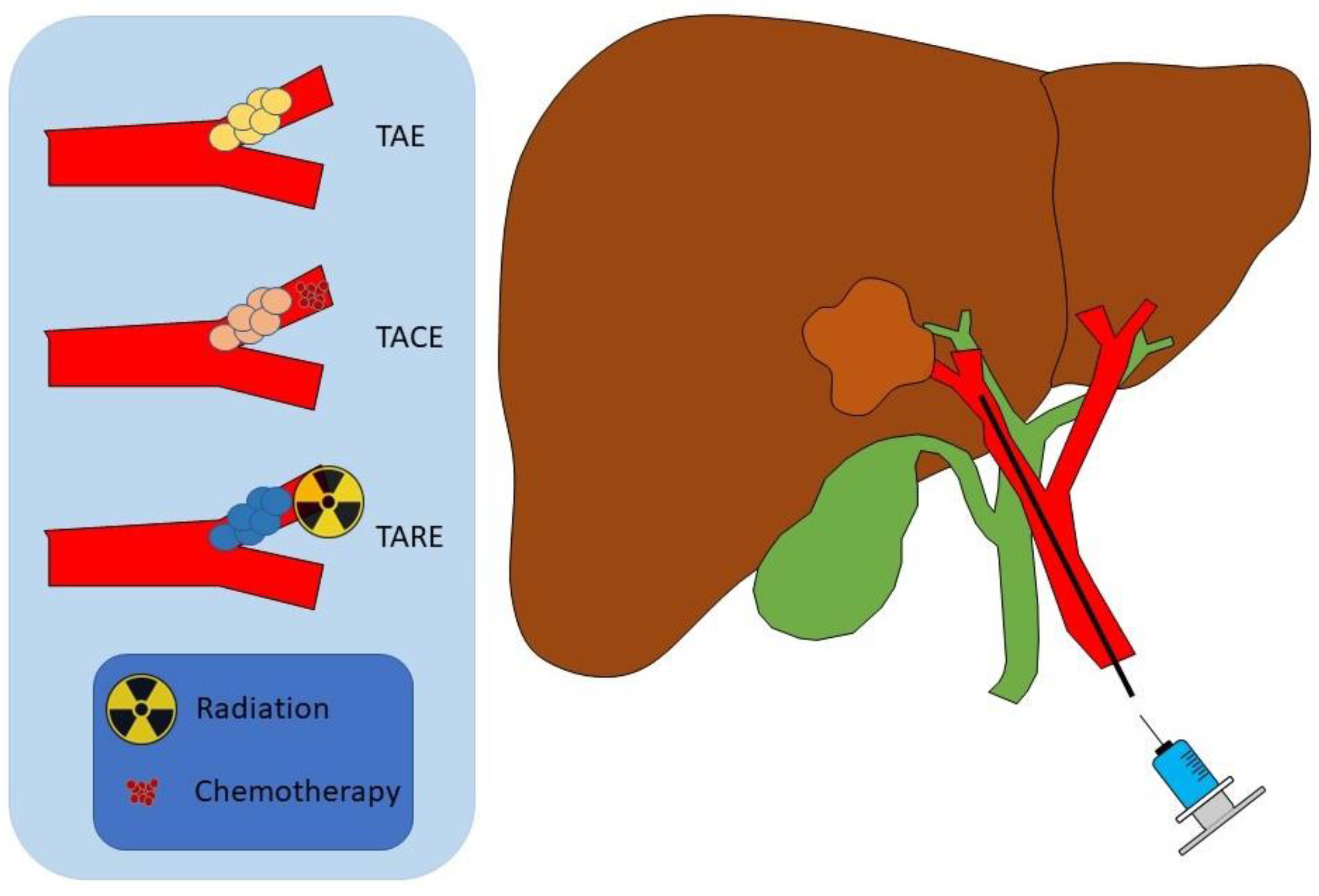 Cancers 15 04727 g002