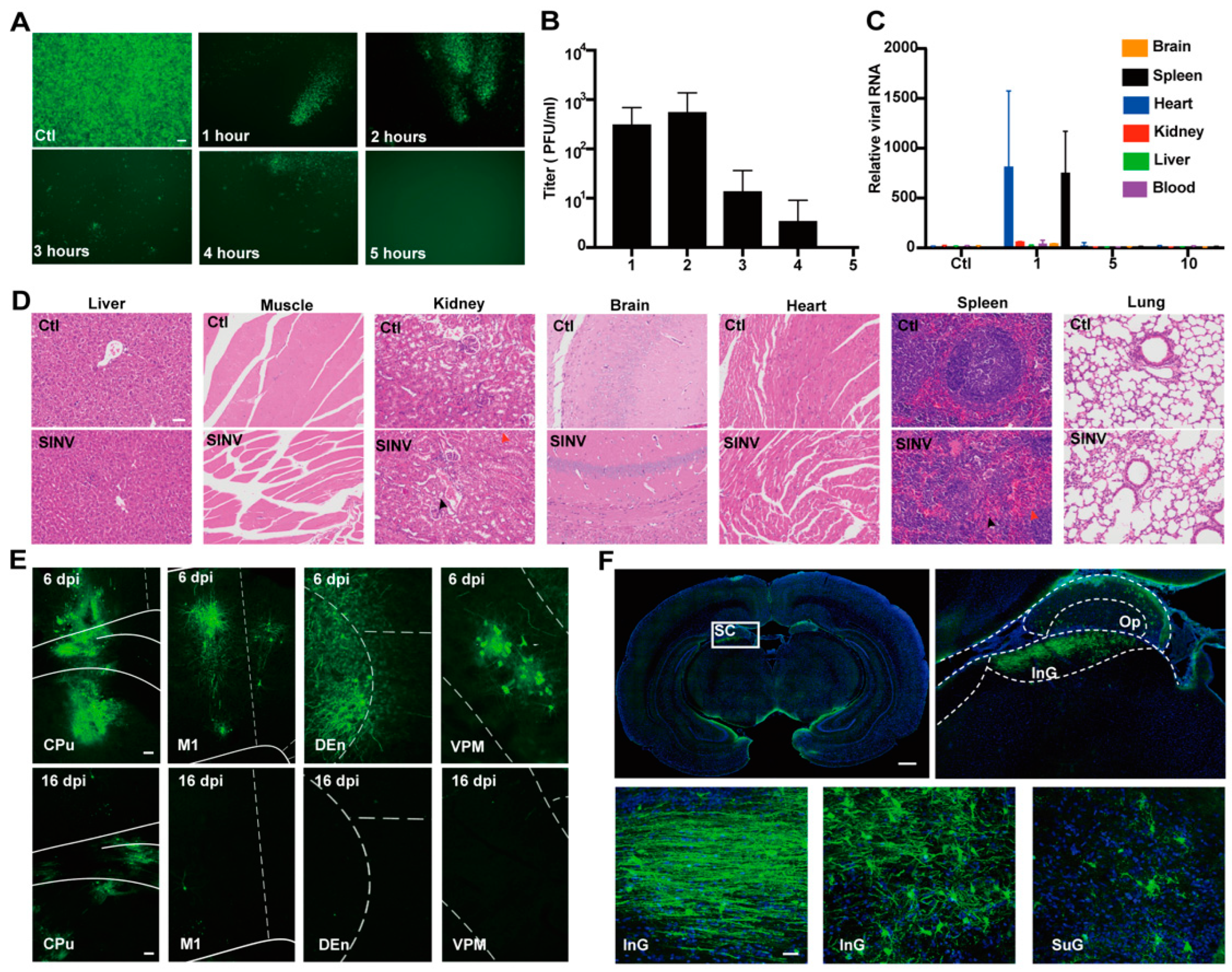 Cancers 15 04738 g001 Cancers 15 04738 g001