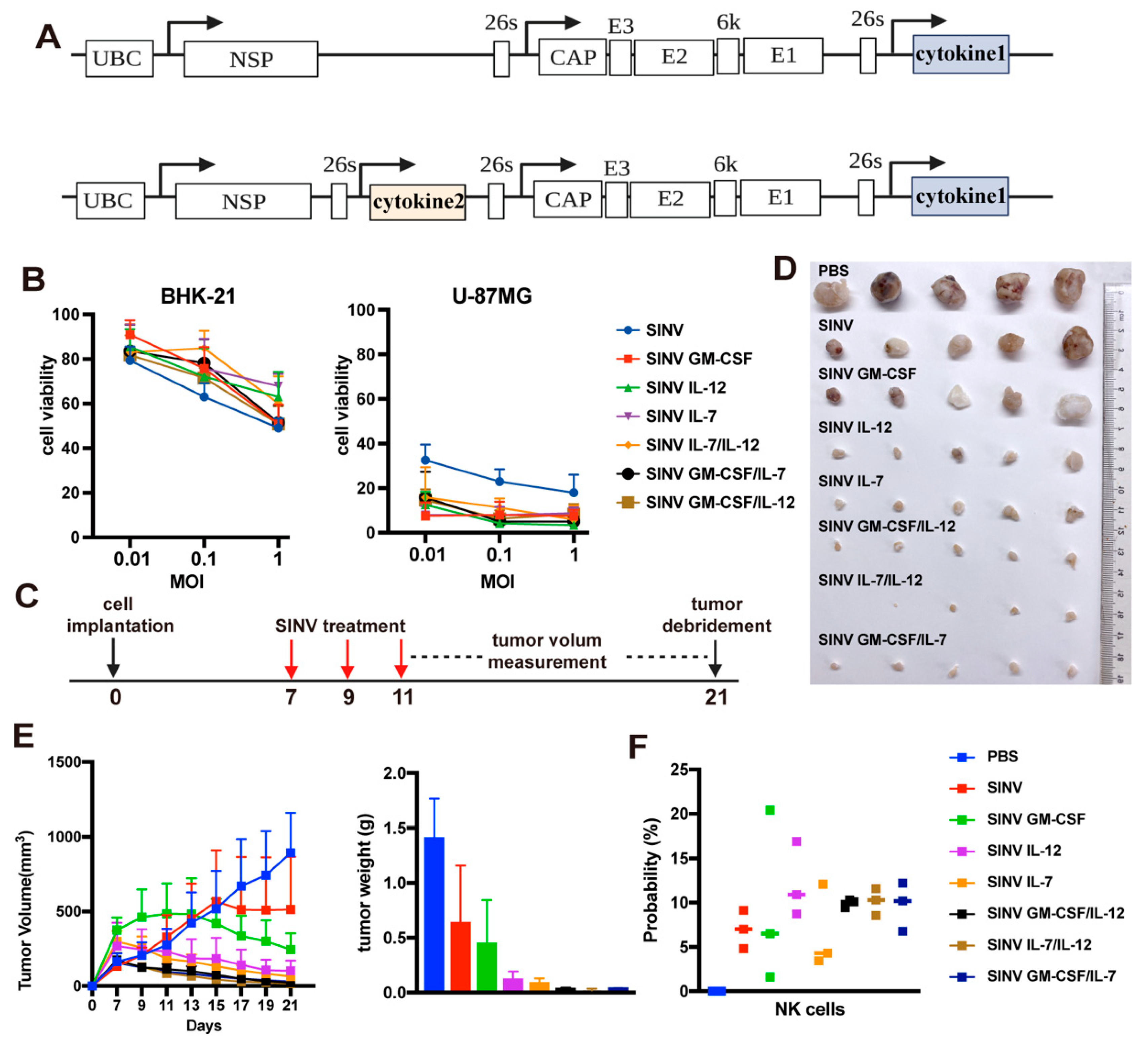 Cancers 15 04738 g004 Cancers 15 04738 g004