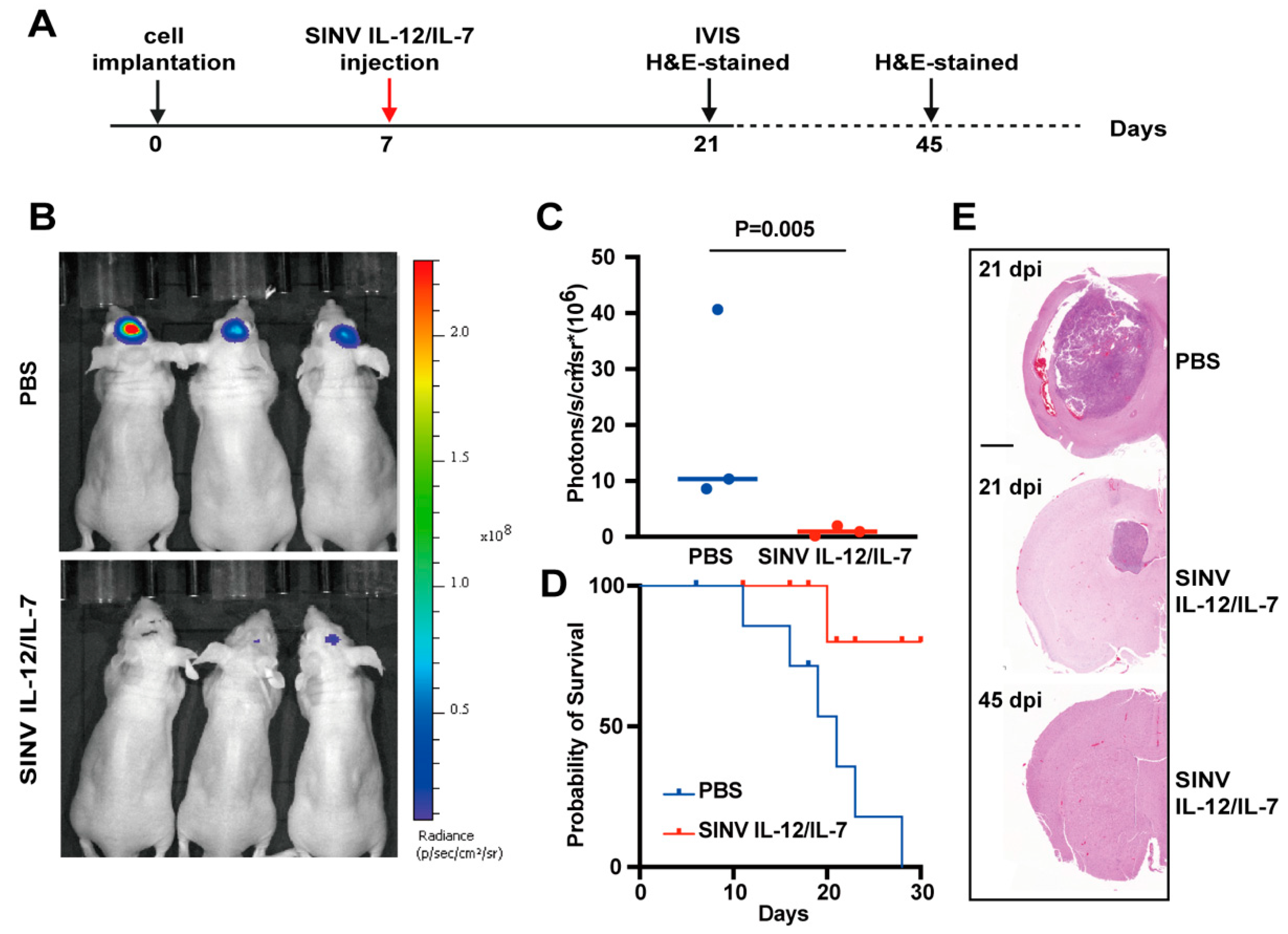 Cancers 15 04738 g005 Cancers 15 04738 g005