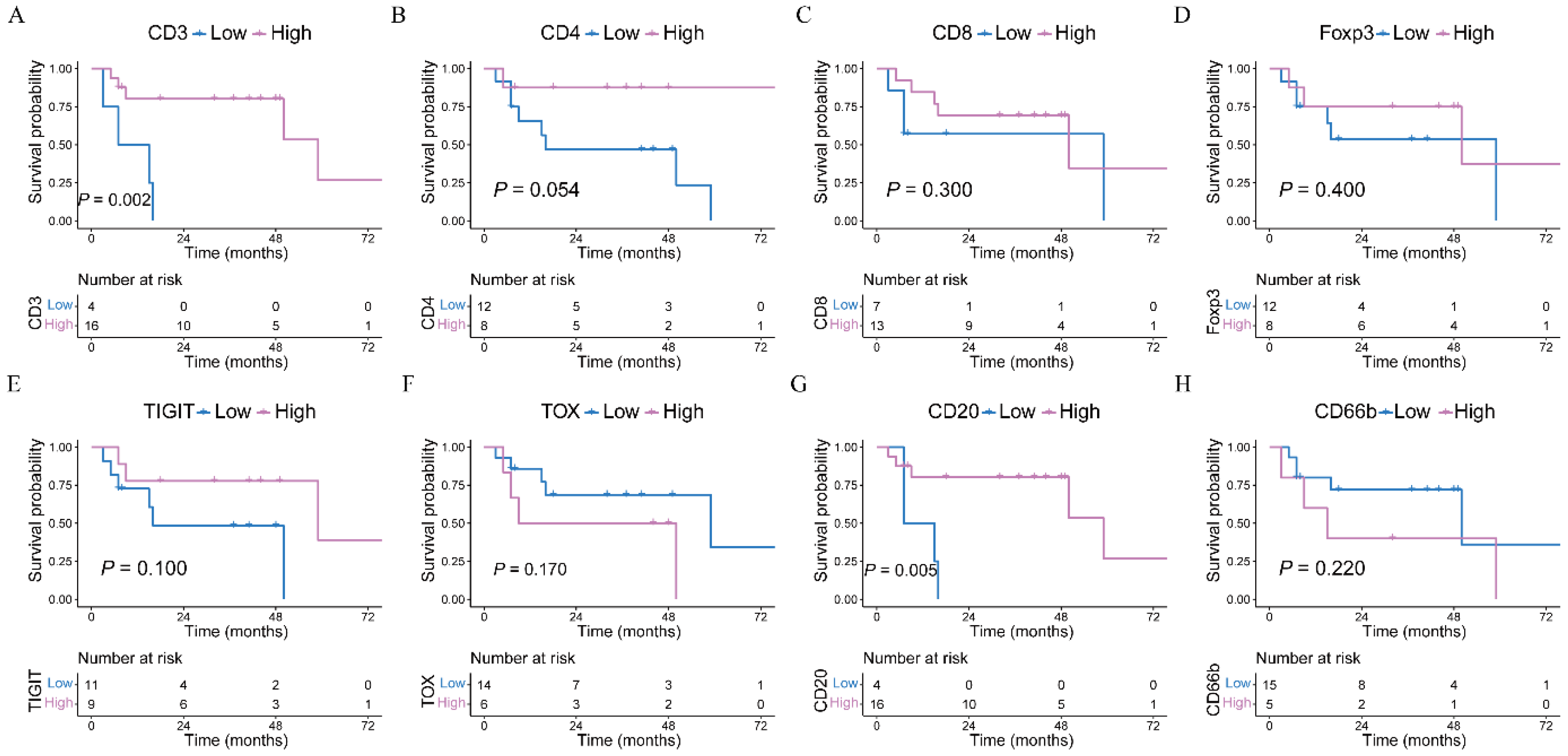 Cancers 15 04743 g005