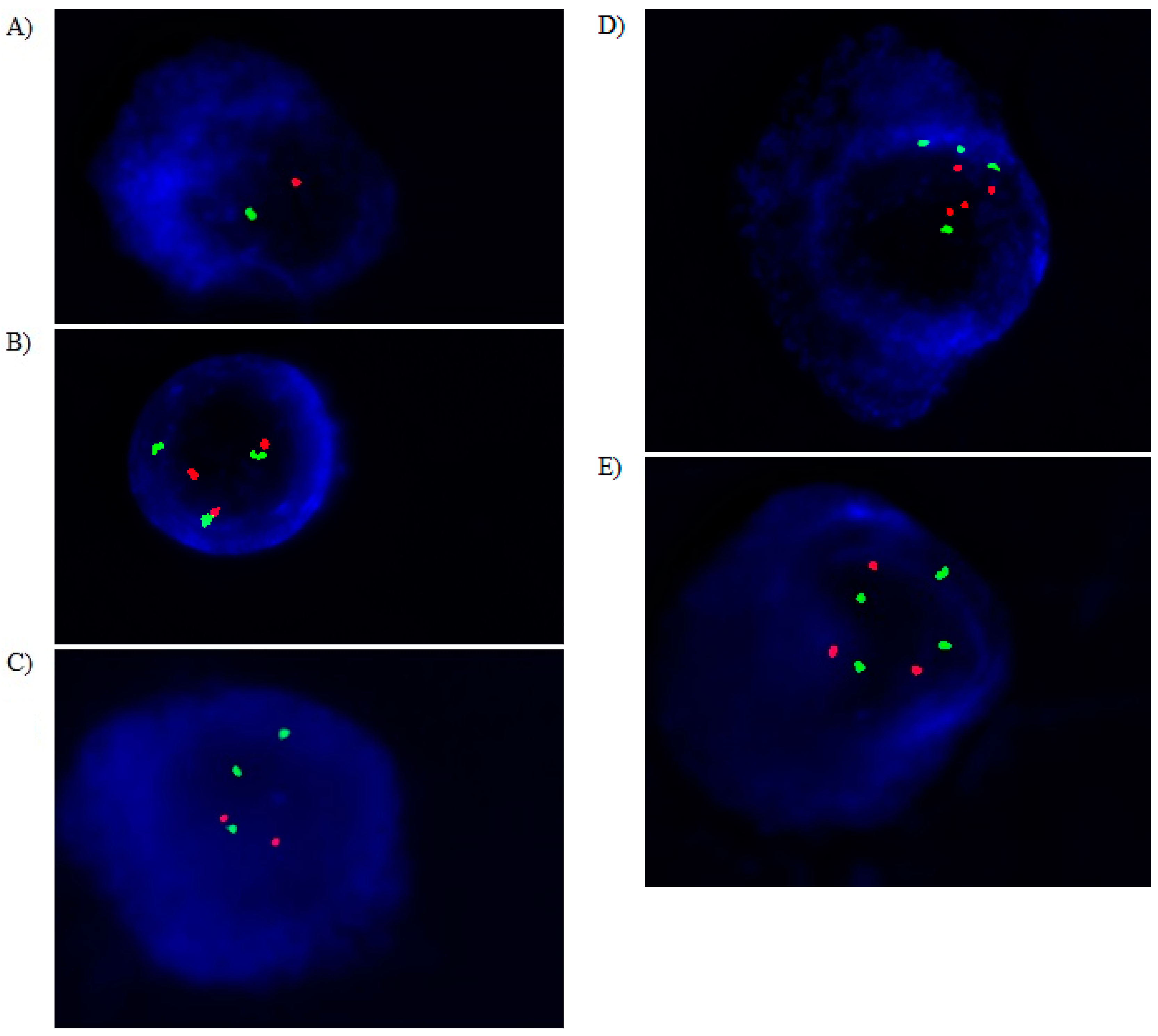 Cancers 15 04747 g002
