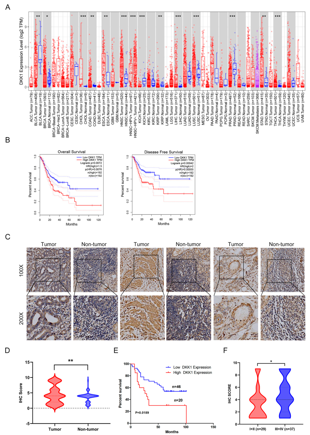Cancers 15 04756 g001
