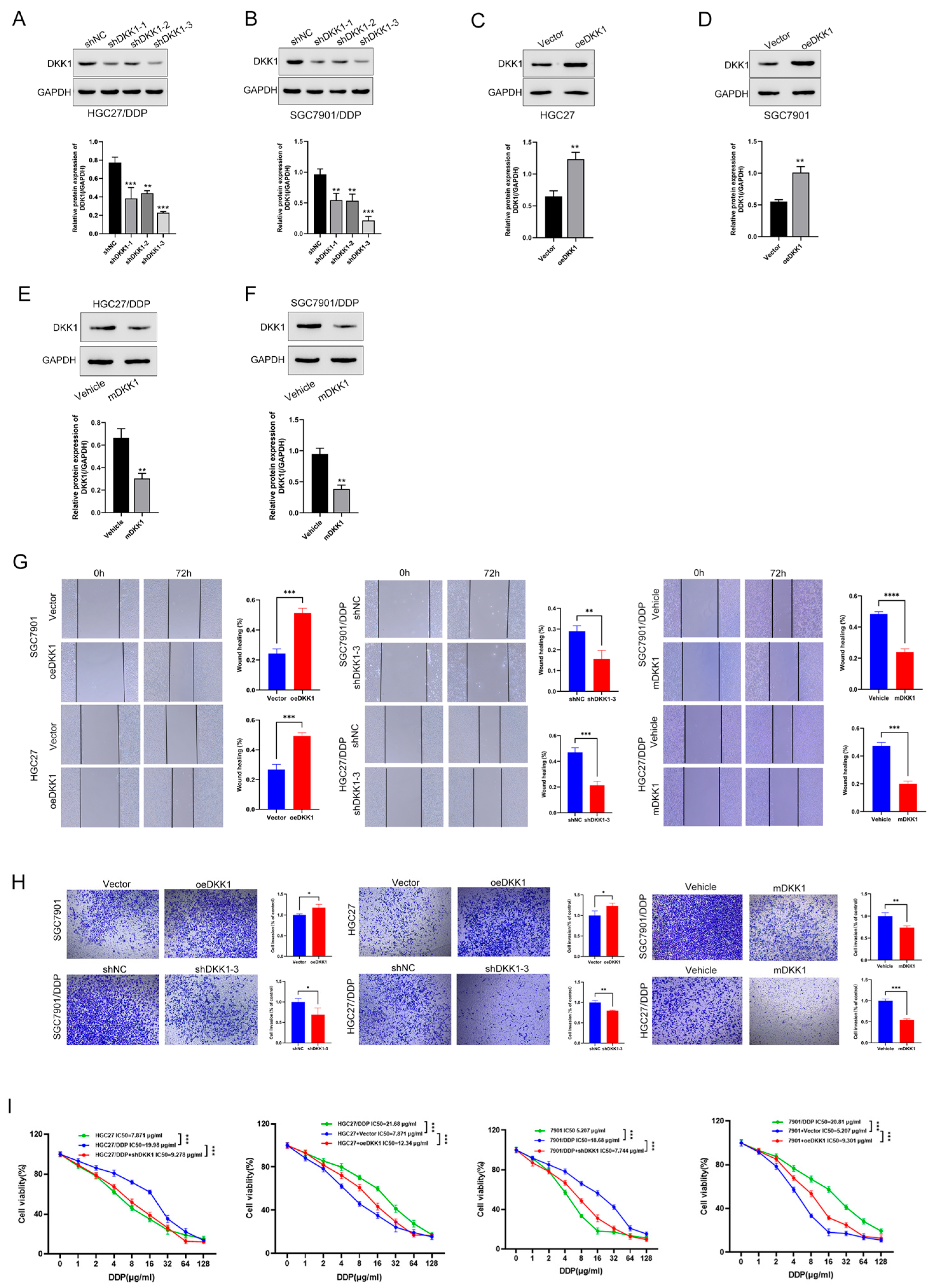 Cancers 15 04756 g003