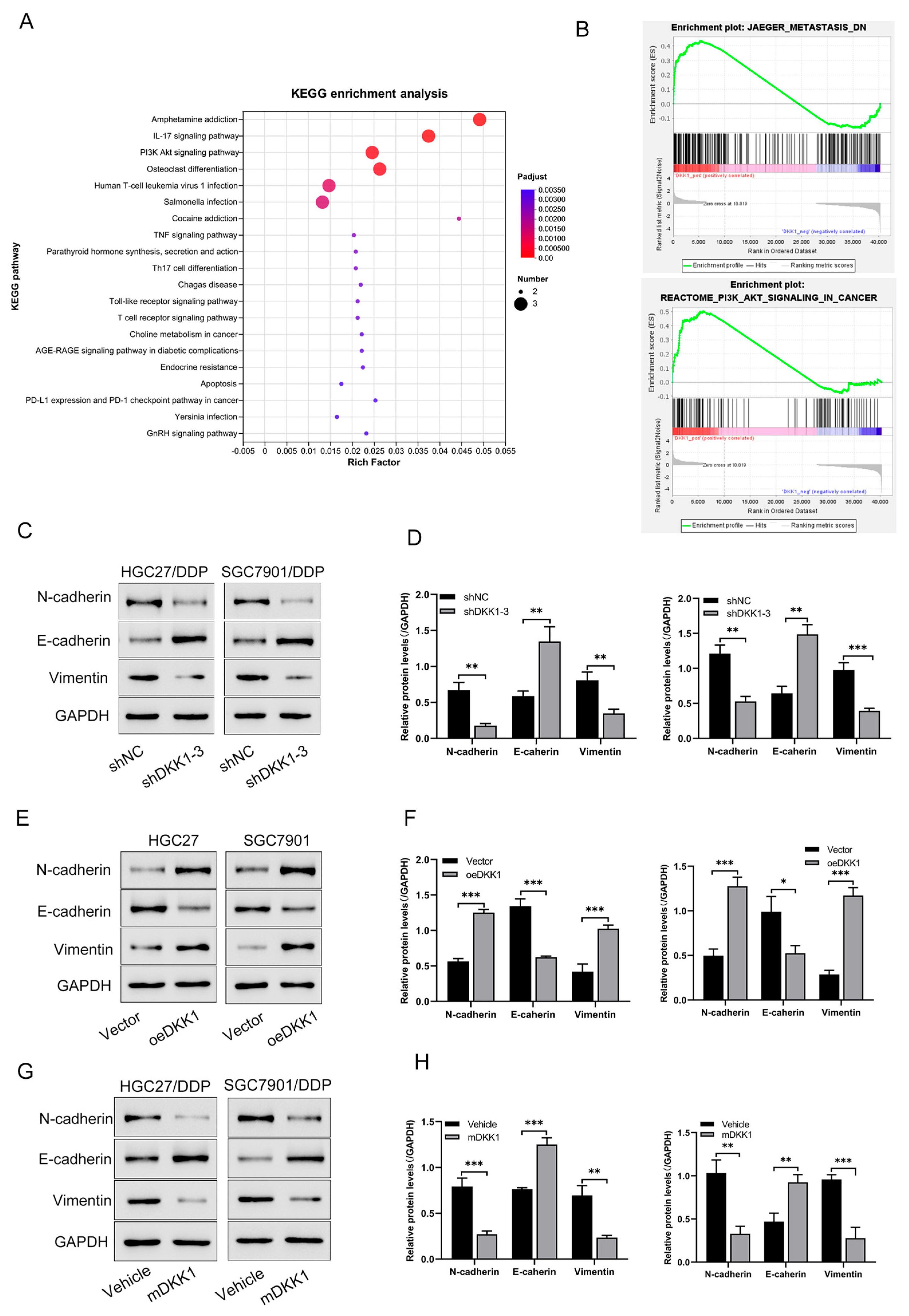 Cancers 15 04756 g004
