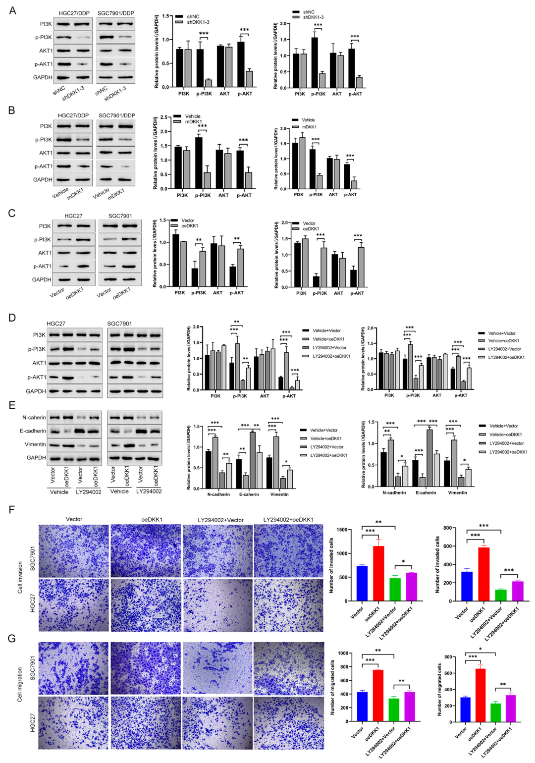 Cancers 15 04756 g005