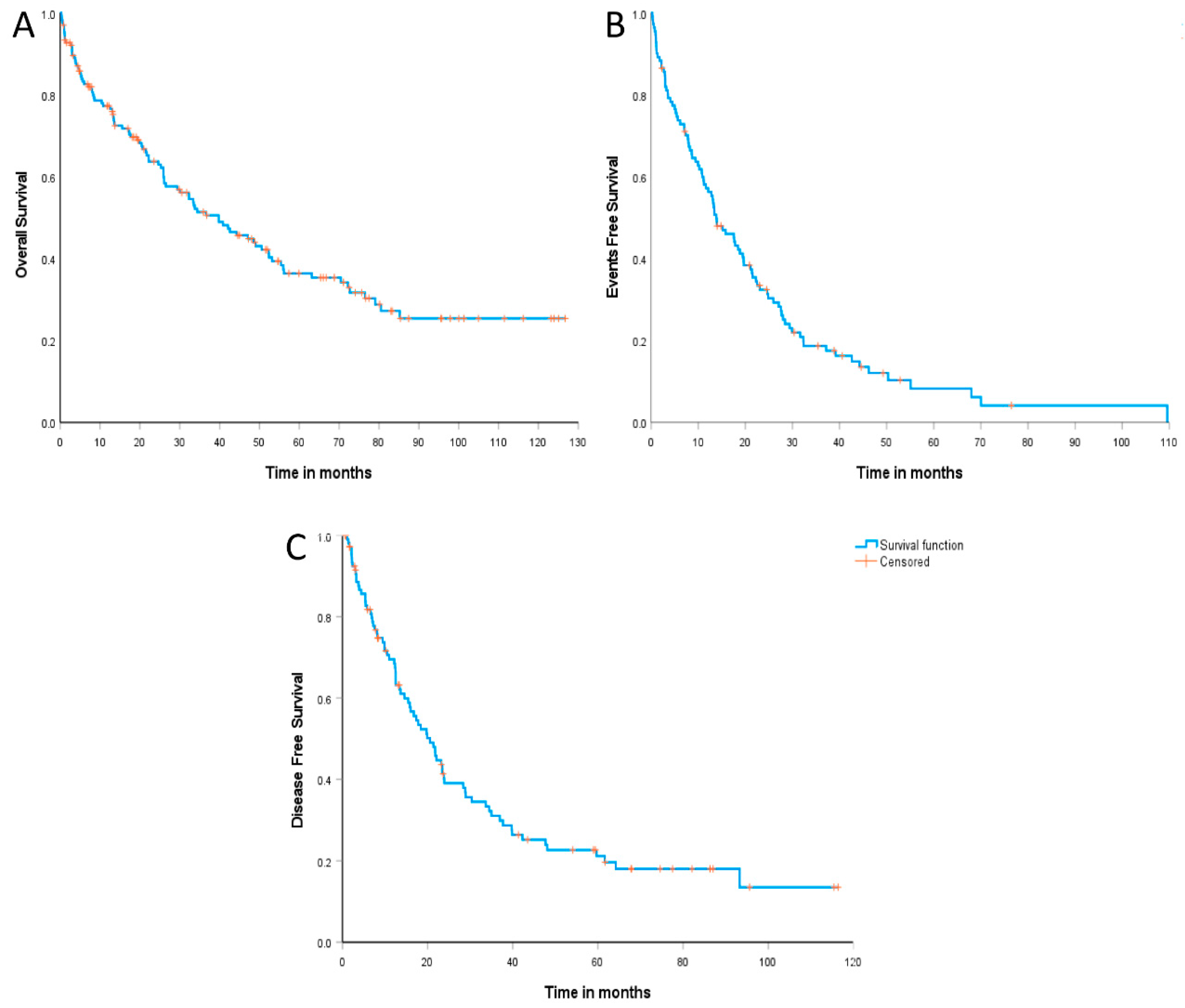 Cancers 15 04759 g002