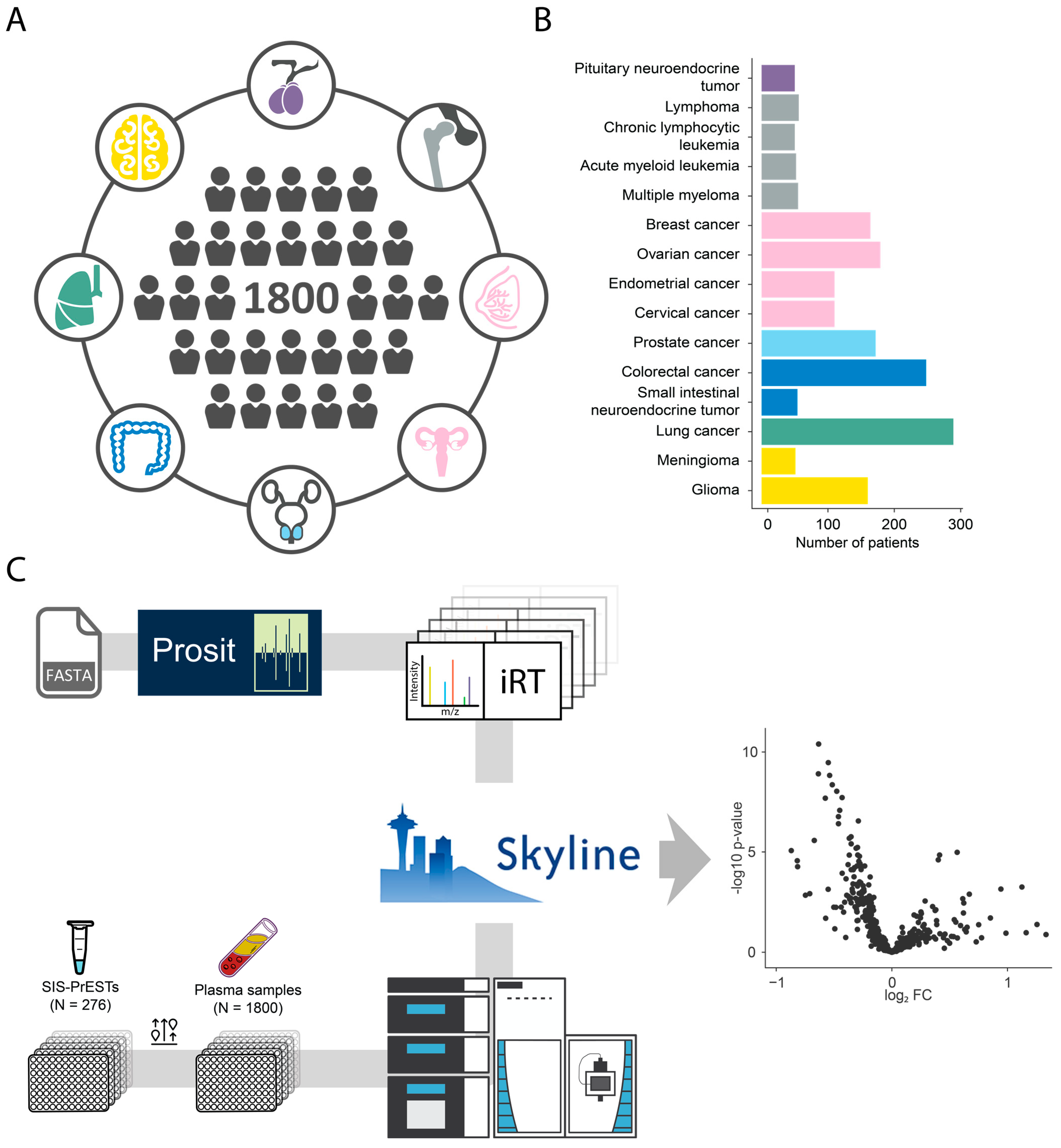 Cancers 15 04764 g001