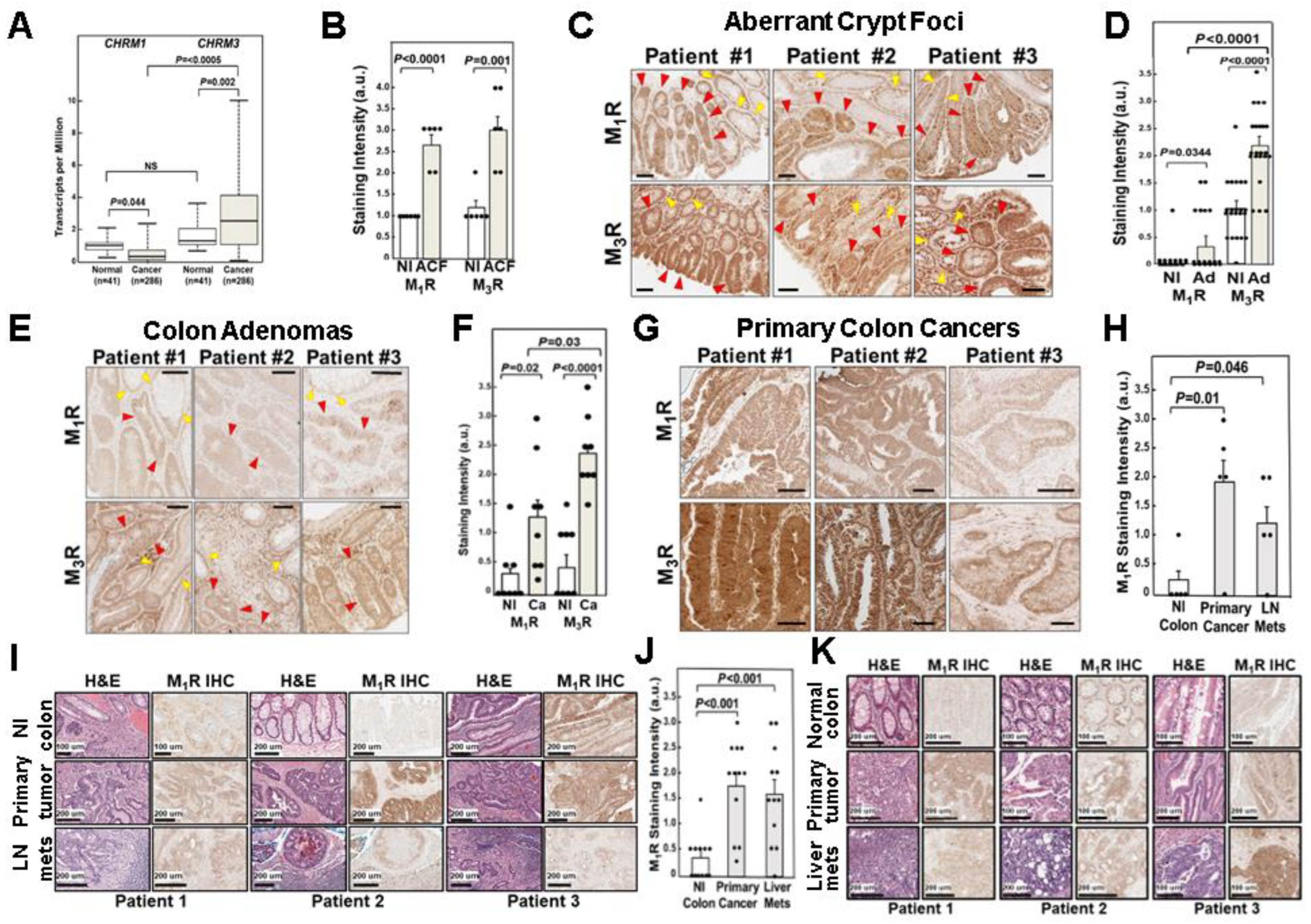 Cancers 15 04766 g001