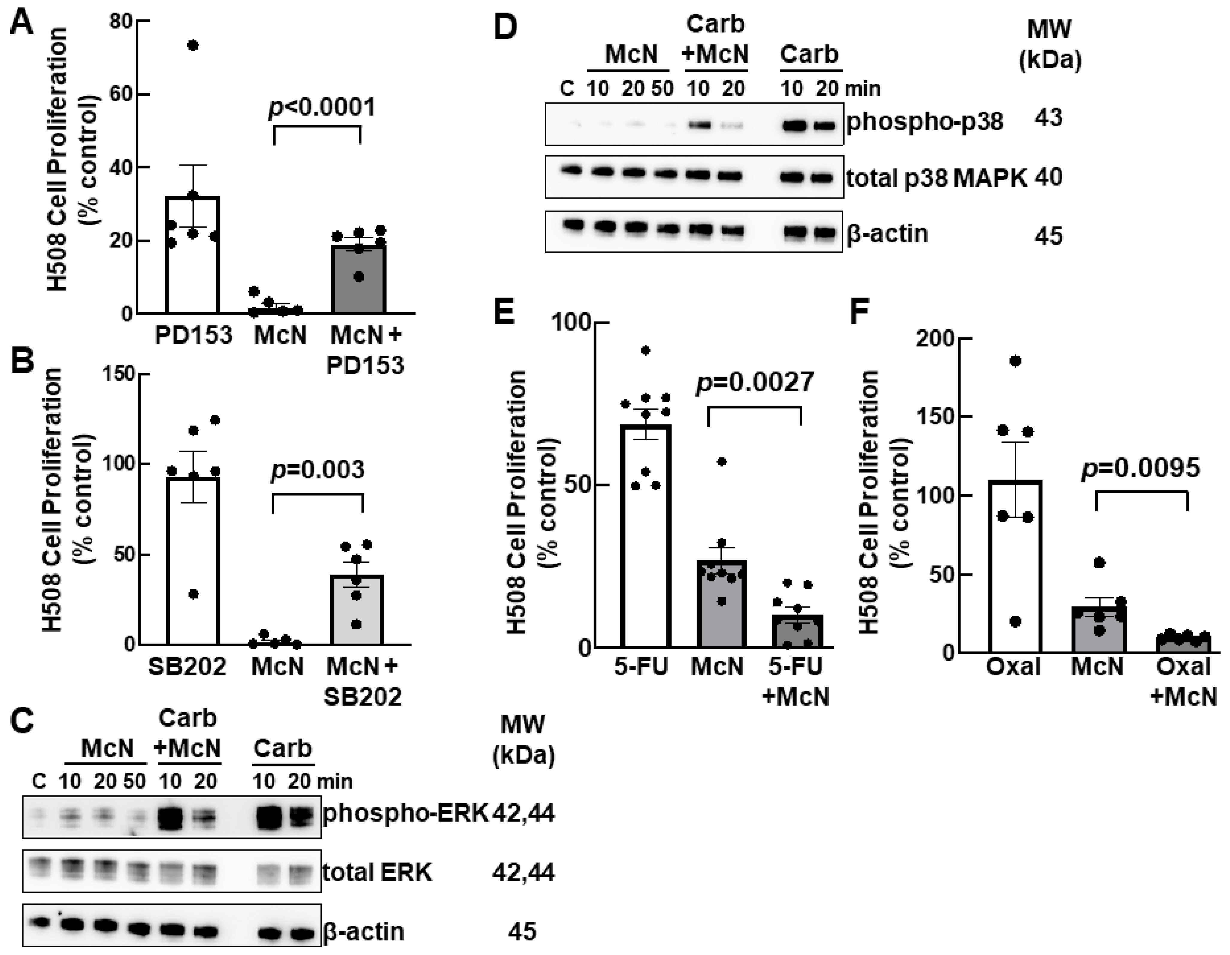 Cancers 15 04766 g004