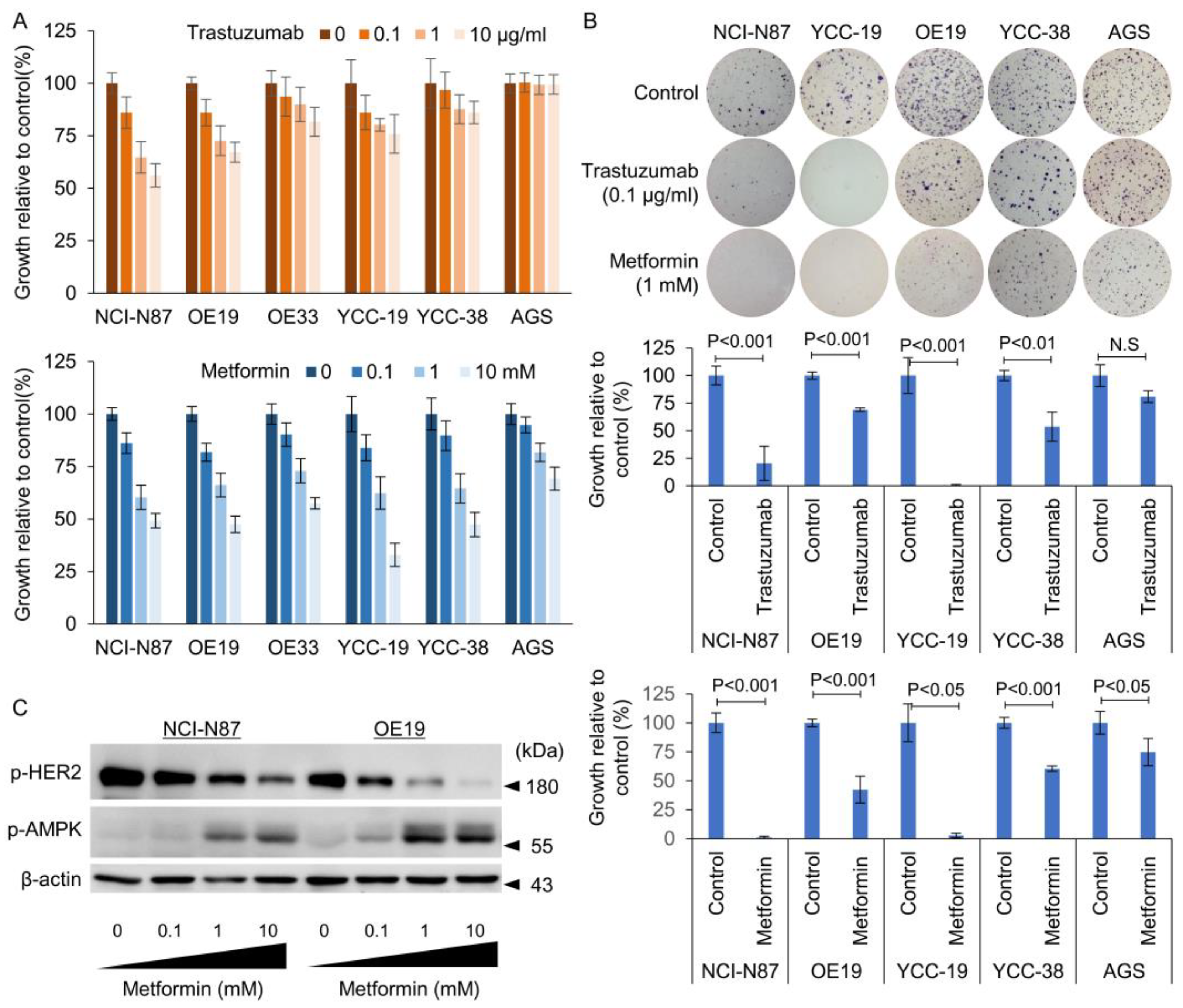 Cancers 15 04768 g001