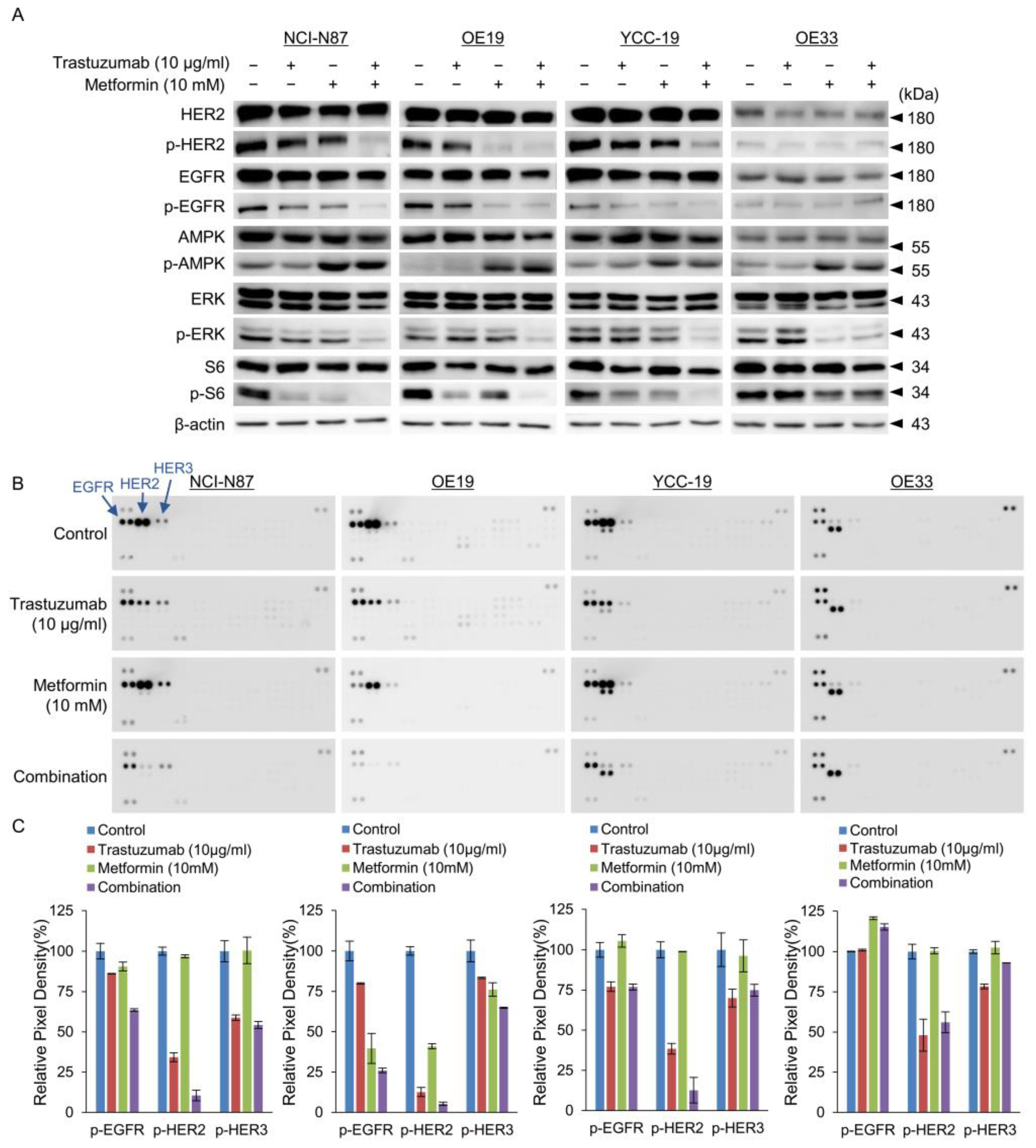Cancers 15 04768 g004