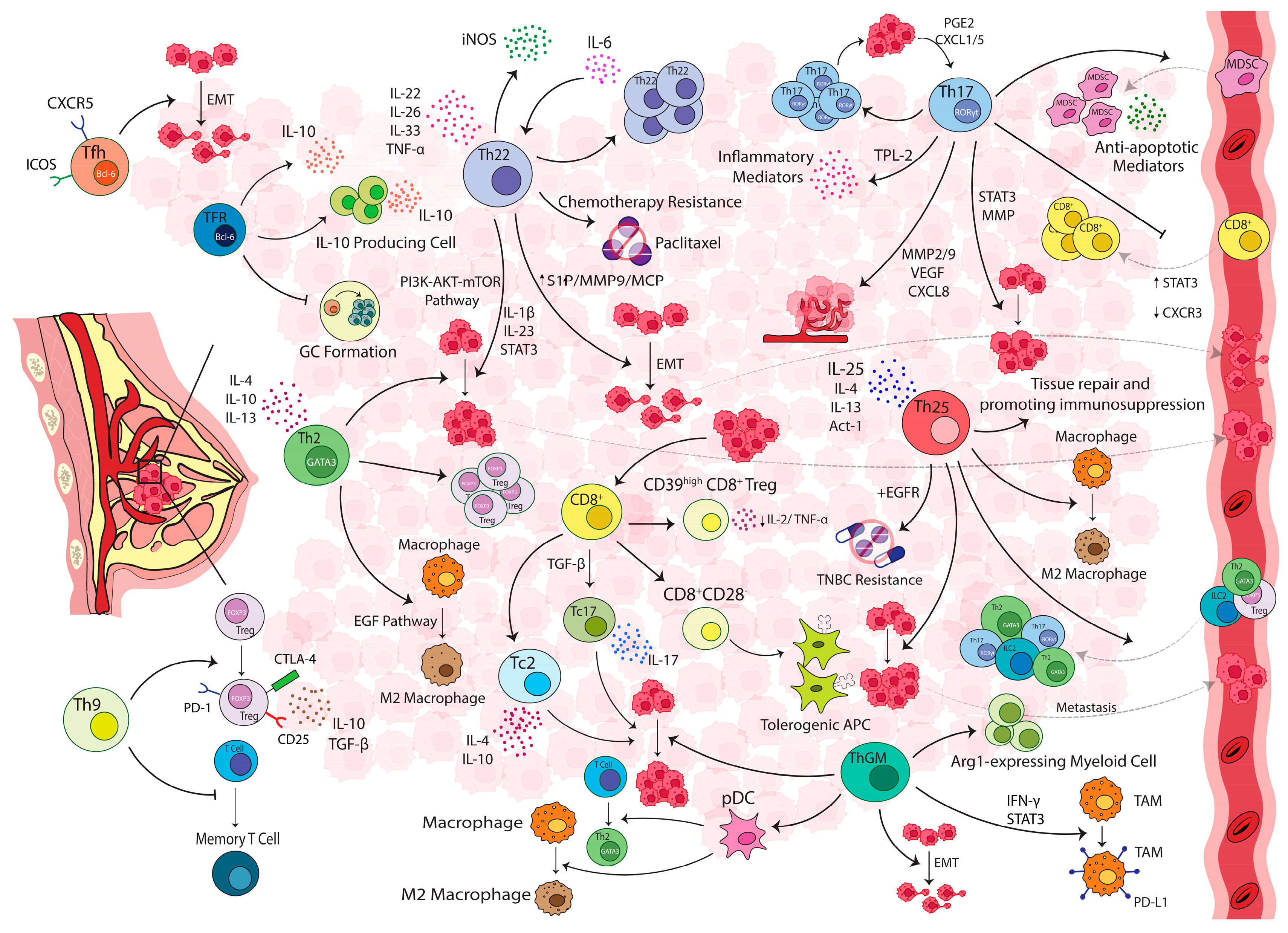 Cancers 15 04771 g002 Cancers 15 04771 g002
