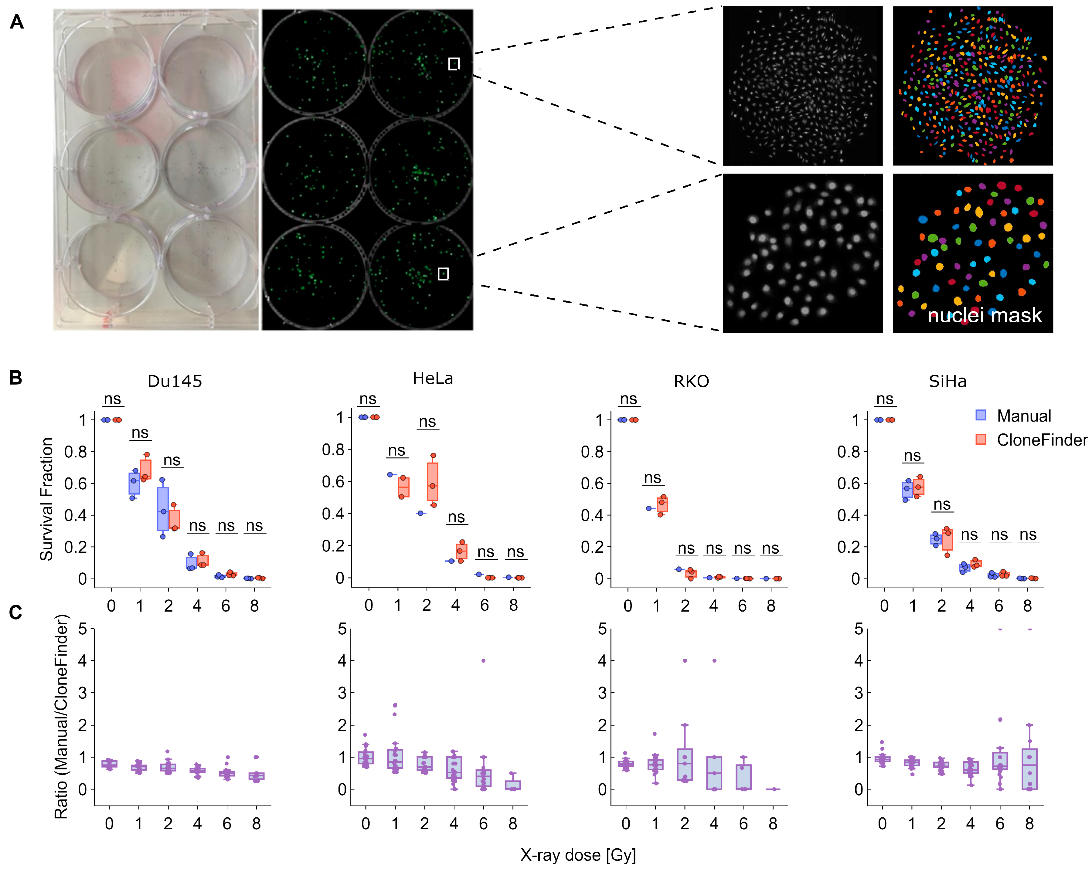 Cancers 15 04772 g002