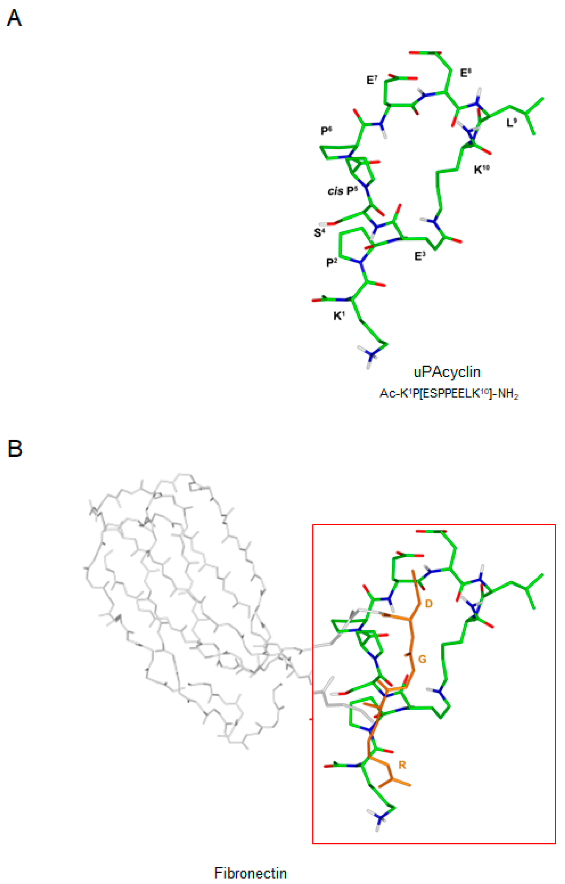 Cancers 15 04775 g001 Cancers 15 04775 g001