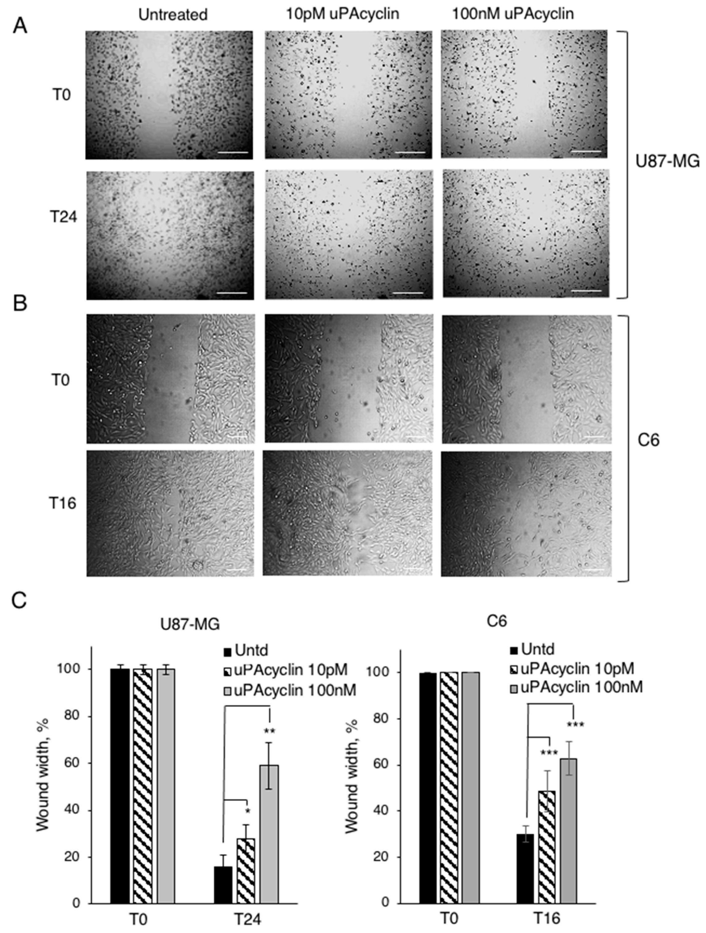 Cancers 15 04775 g005 Cancers 15 04775 g005