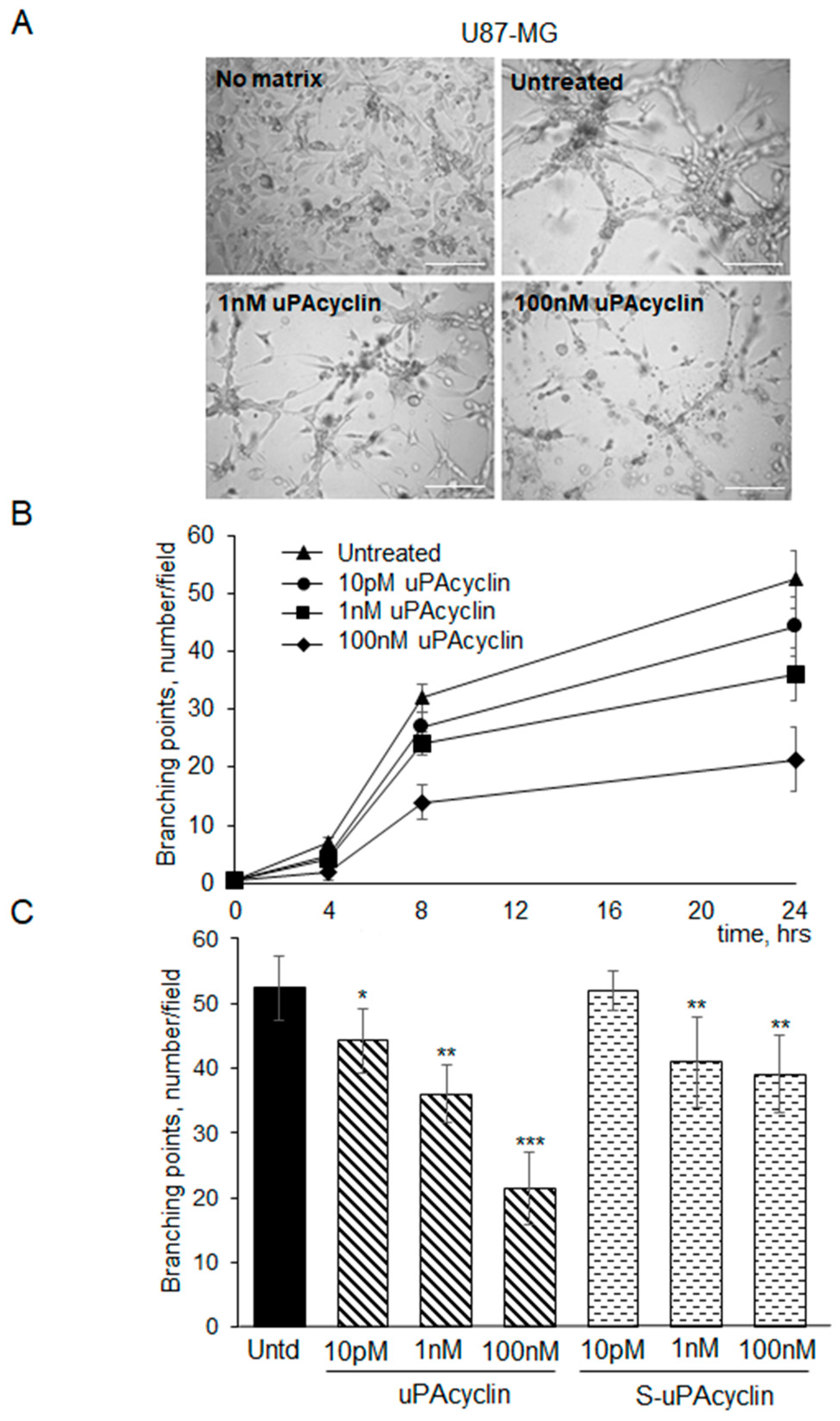 Cancers 15 04775 g006 Cancers 15 04775 g006