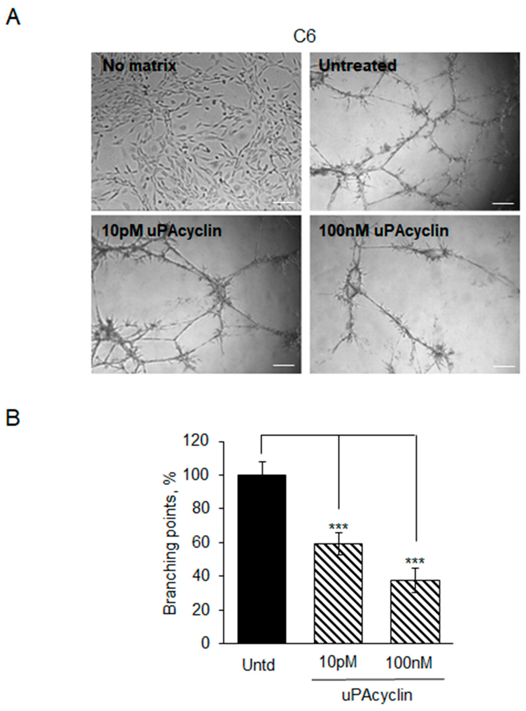 Cancers 15 04775 g007 Cancers 15 04775 g007